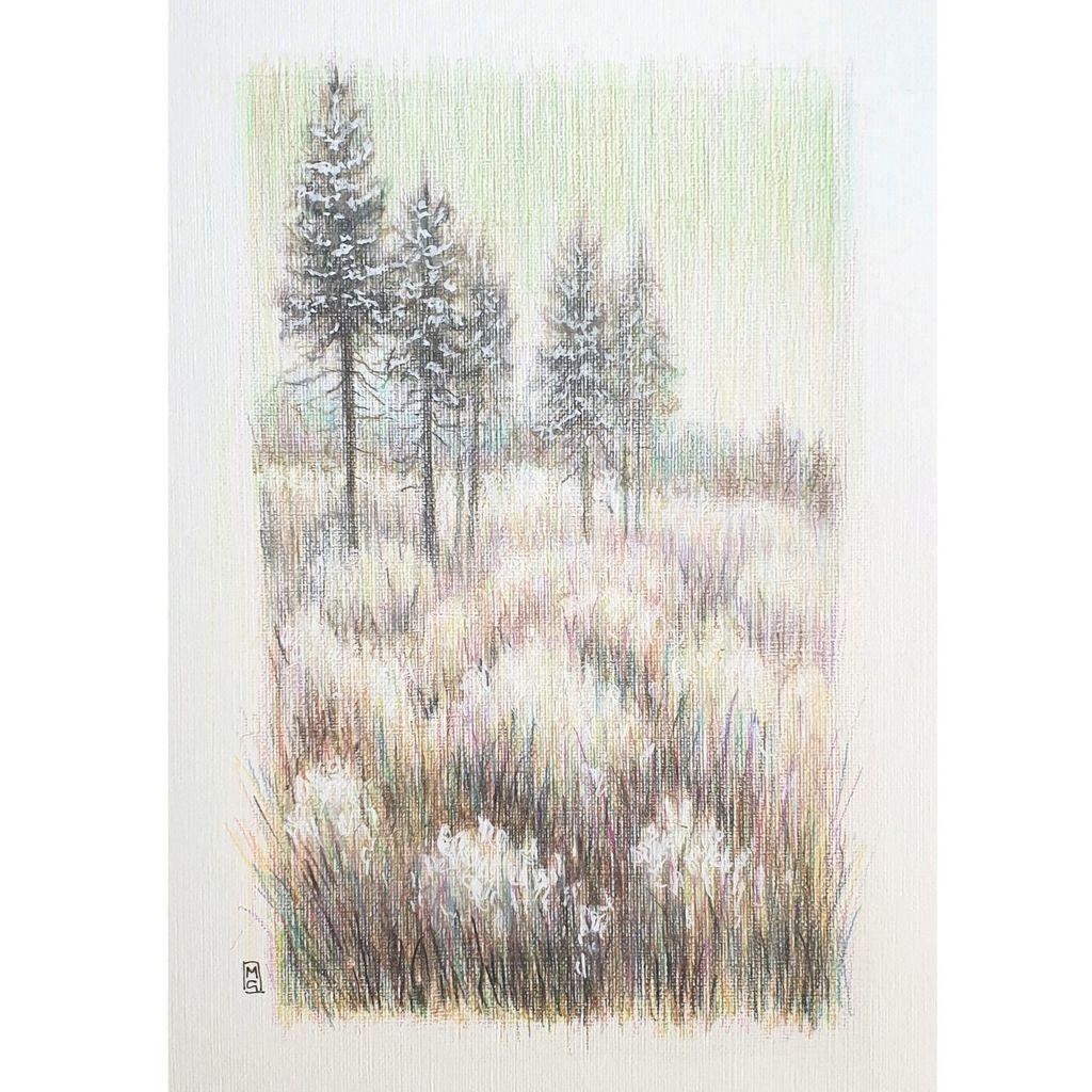 I was experimenting with new techniques in colour pencil for this drawing, but as it has been popular on social media I am putting it up for sale at a special low price.
An A5 landscape drawing of a very pale soft toned winter rural scene with clumps of grasses in the foreground and trees in the background. The drawing is on white paper.
An original art work, please note that the frame is not included.
Colour pencil on white paper
Size A5 (148 x 210mm / 5.8 x 8.3")