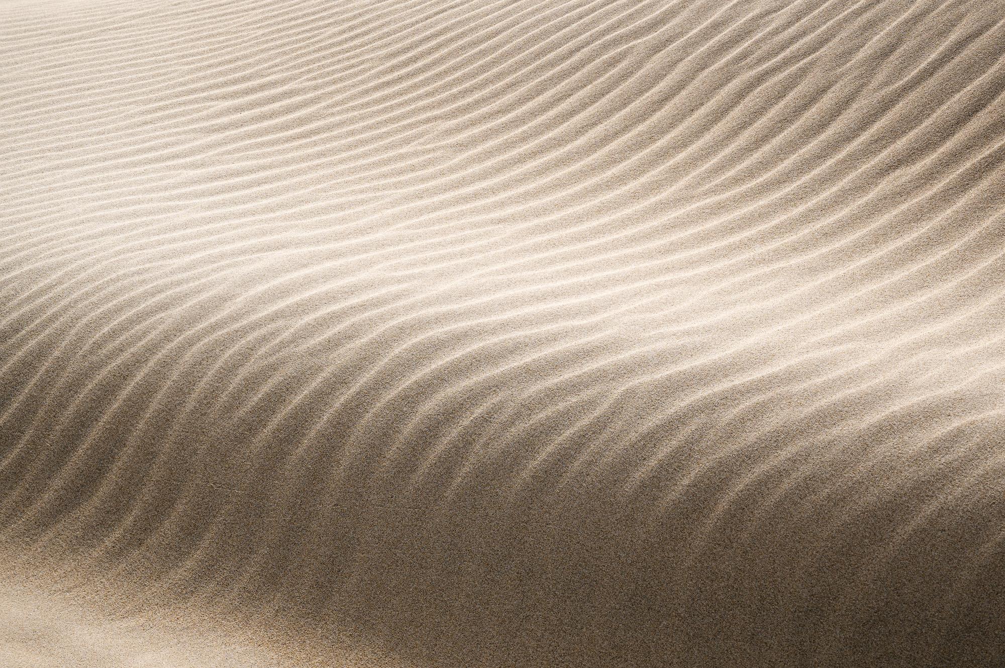 small scene landscape featuring side of the dune in soft light. The shape is smooth and wavy and spans like a hill of grassland or a wave