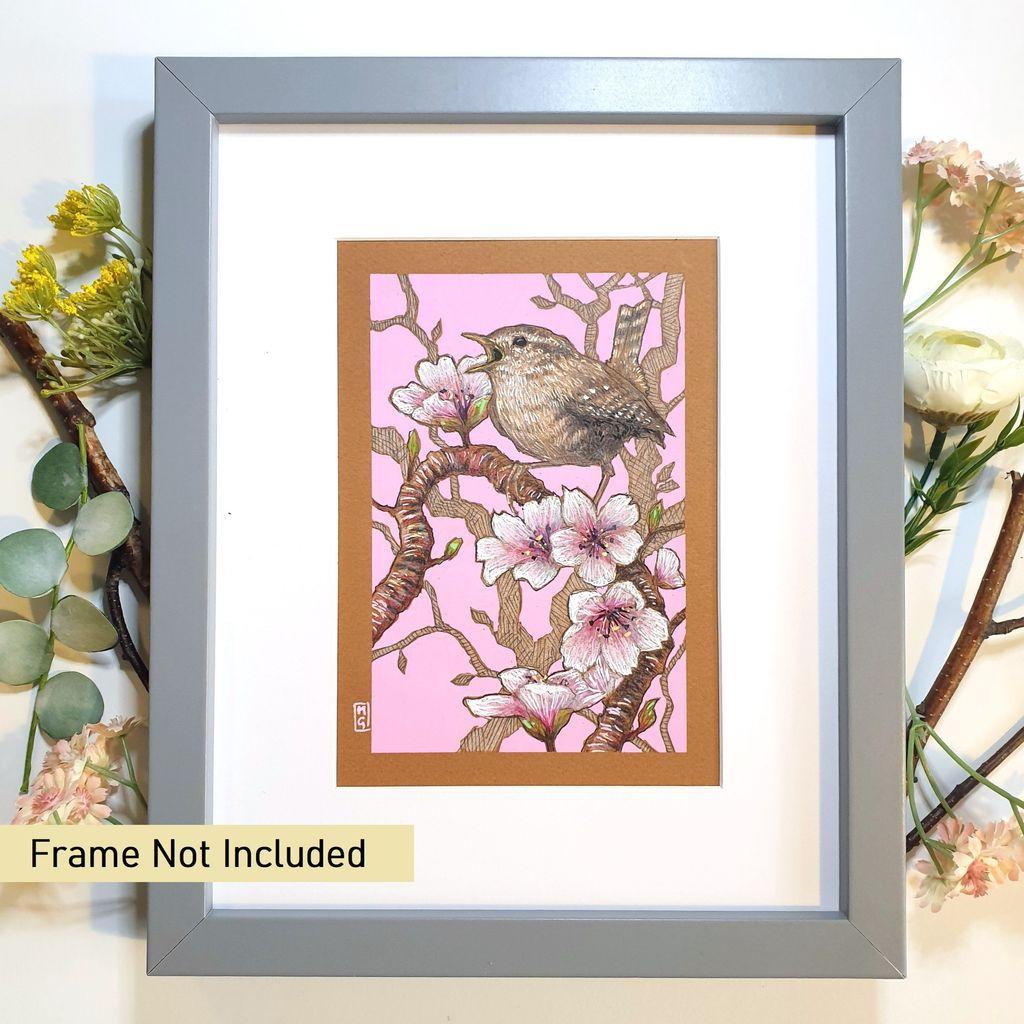 A small colour drawing of a little wren singing among the cherry blossom. The drawing shows the little brown bird sitting on a branch. The drawing has a bright pink background.
The Wren is a tiny brown bird, it's almost round in shape with a fine bill, quite long legs and toes, very short round wings and a short, narrow tail, which is sometimes stuck up vertically.
An original art work, please note that the frame is not included.
Colour pencil and mixed media on acid free toned artist paper
5 by 7 inches (12.7 by 17.8 cm).