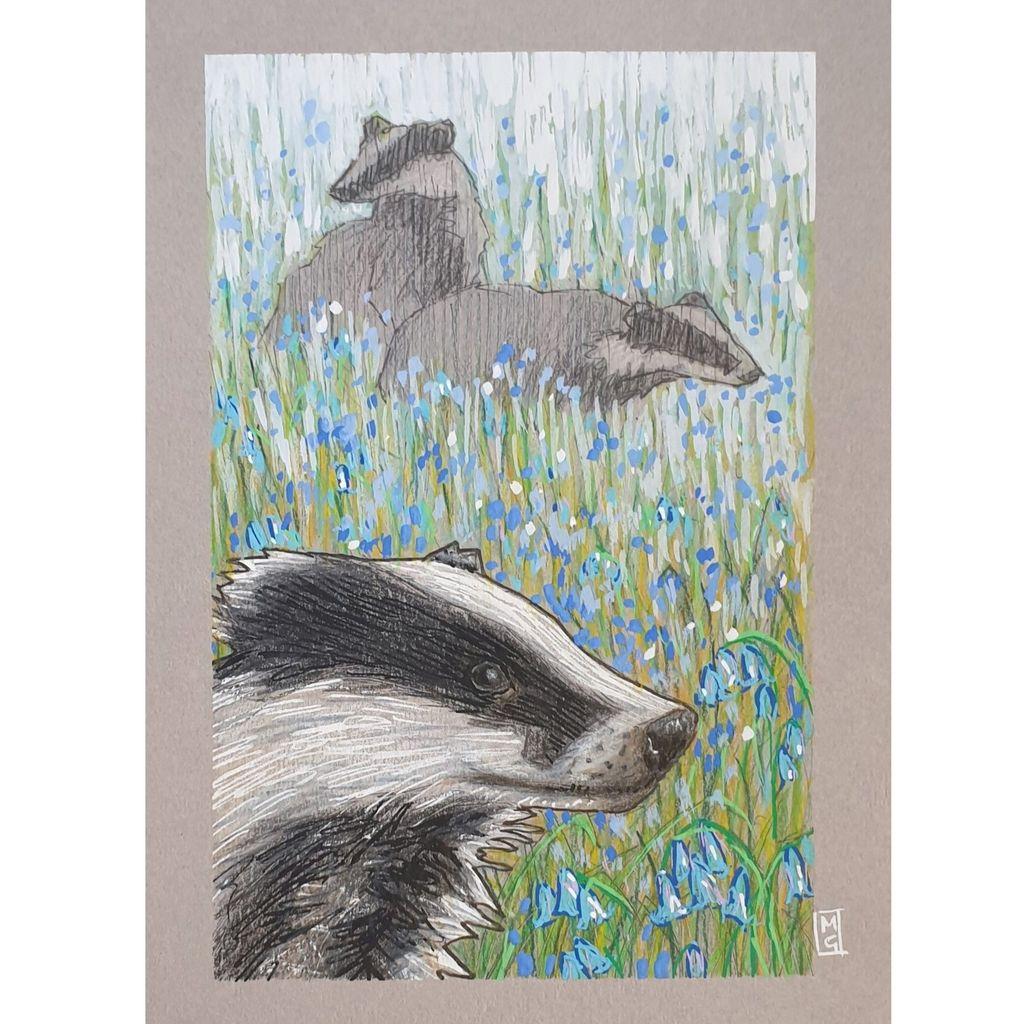 A small colour drawing of European badgers in a field of bluebells. The foreground depicts a closeup of a badgers head, the background shows two badgers in the bluebell field.
Badgers are short, stout, powerful animals that live in underground 'setts' that can extend well over 50 metres long! Members of the mustelid family (which includes pine martens, otters and ferrets)
An original art work, please note that the frame is not included.
Colour pencil and mixed media on acid free toned artist paper
5 by 7 inches (12.7 by 17.8 cm).