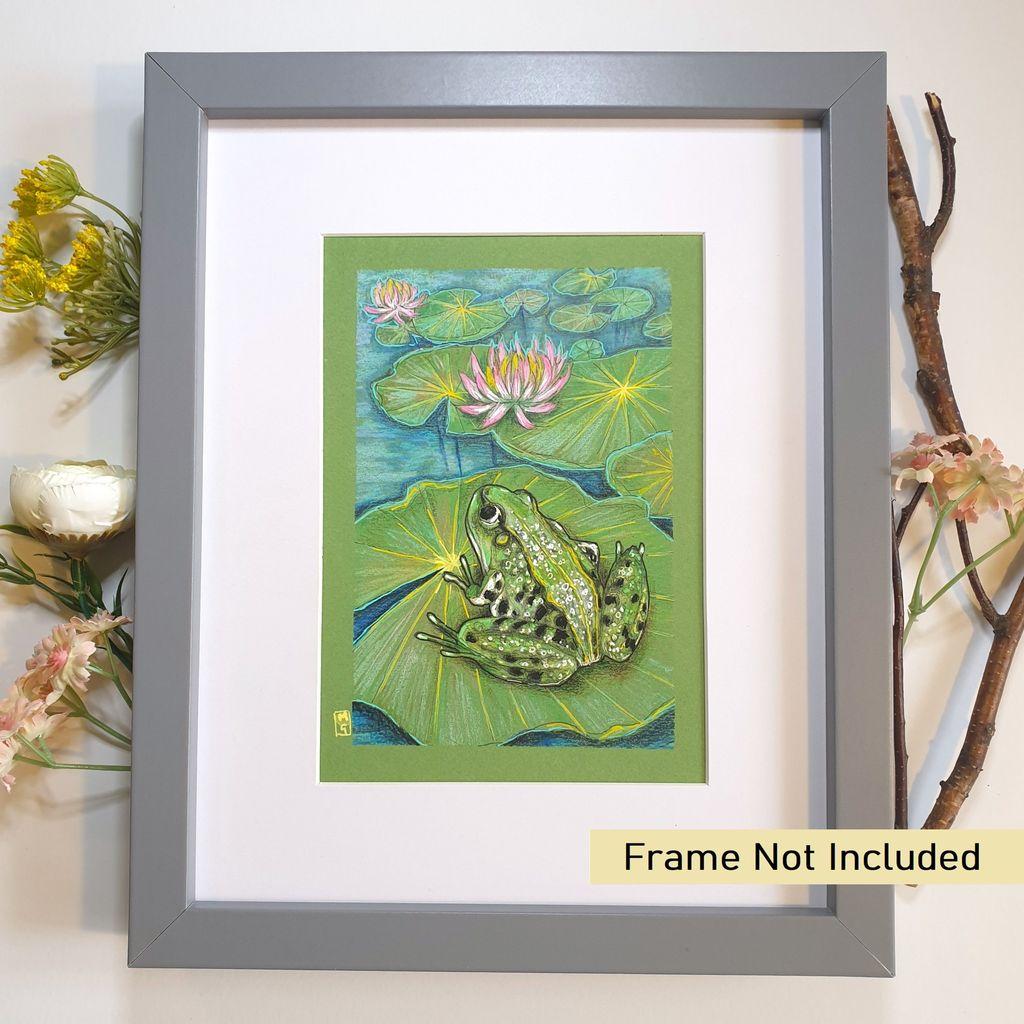 A small colour drawing of a green frog sitting on a lily pad. The drawing depicts the frog and the pond with the waterlilies stretching into the background.
An original art work, please note that the frame is not included.
Colour pencil and mixed media on acid free toned artist paper
5 by 7 inches (12.7 by 17.8 cm).