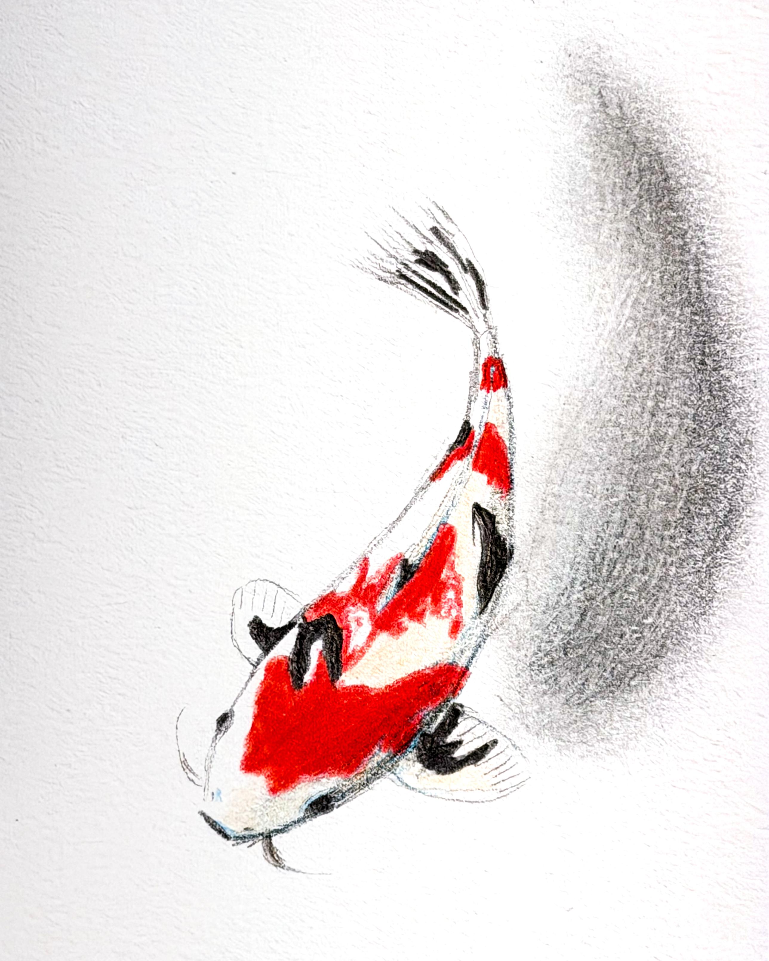 Pencil sketch of a koi. 