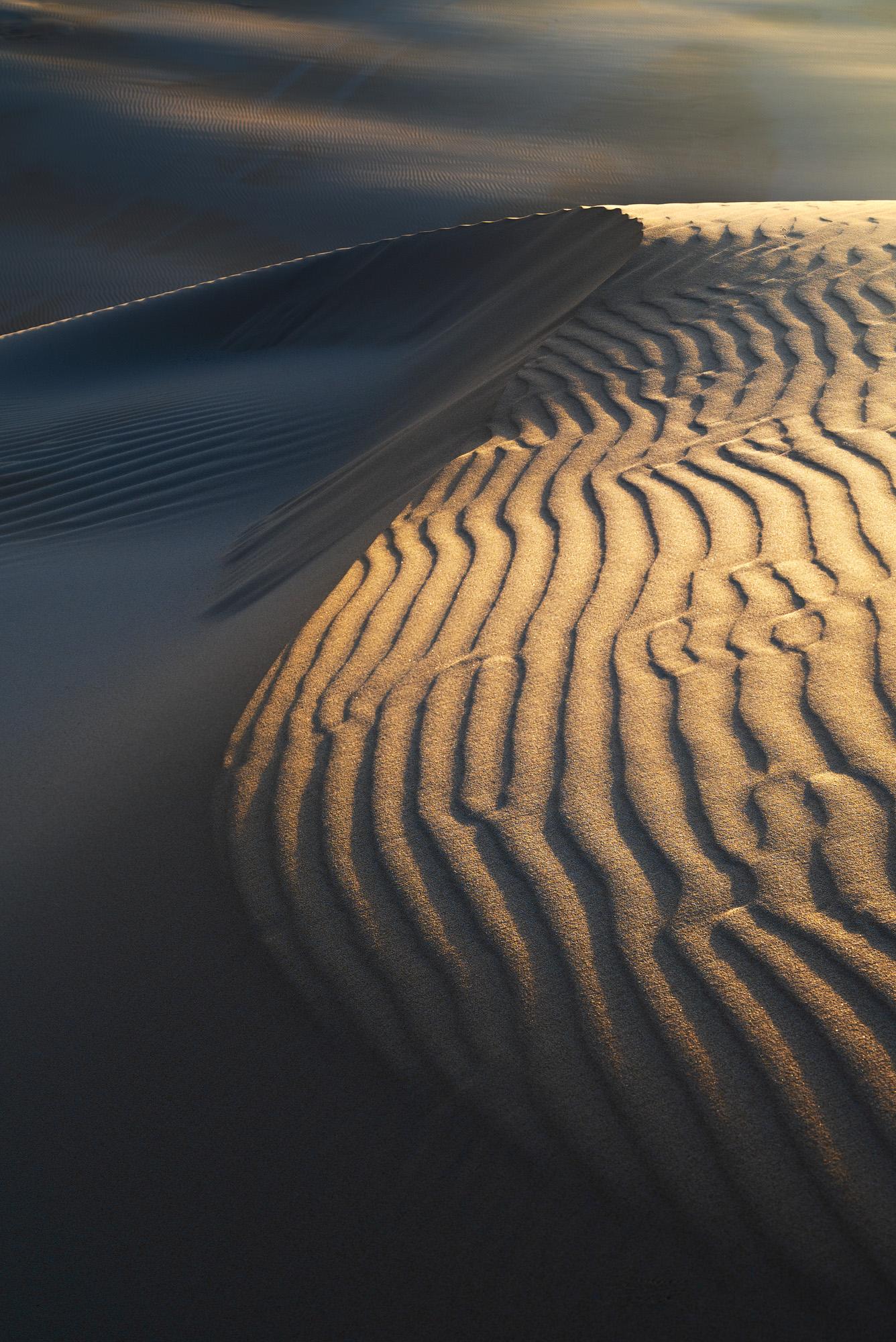 a single dune curve during sunset. Side light shines on the ripples of the right hand side, the left side is in the shadow. The curve goes from bottom right into the middle top and then steers into left and off screen. The light is orange and casts deep shadows.