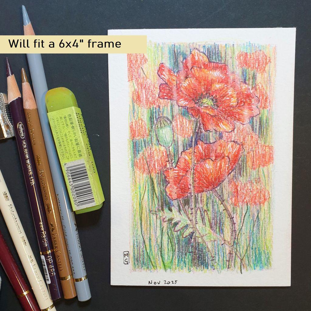 A small drawing of red poppies in colour pencil, the drawing has a soft focus painterly style.
An original art work, please note that the frame is not included.
An original art work, please note that the frame is not included.
Colour pencil on white acid free artist watercolour paper (postcard size).
Approximately 4 by 6 inches (10.16 x 15.24 cm) will fit into a standard 4 by 6 inch photo frame.