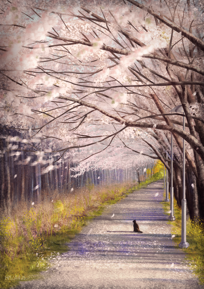 A slightly whimsical, illustrative digital painting of a path lined with blossoming trees. The branches stretch fully overhead making a ceiling of pale pink, and petals are caught mid fall, blurring in the foreground. Half way up the path, a small black cat sits in a patch of light amongst the long streaks of shadow cast by the many trees.