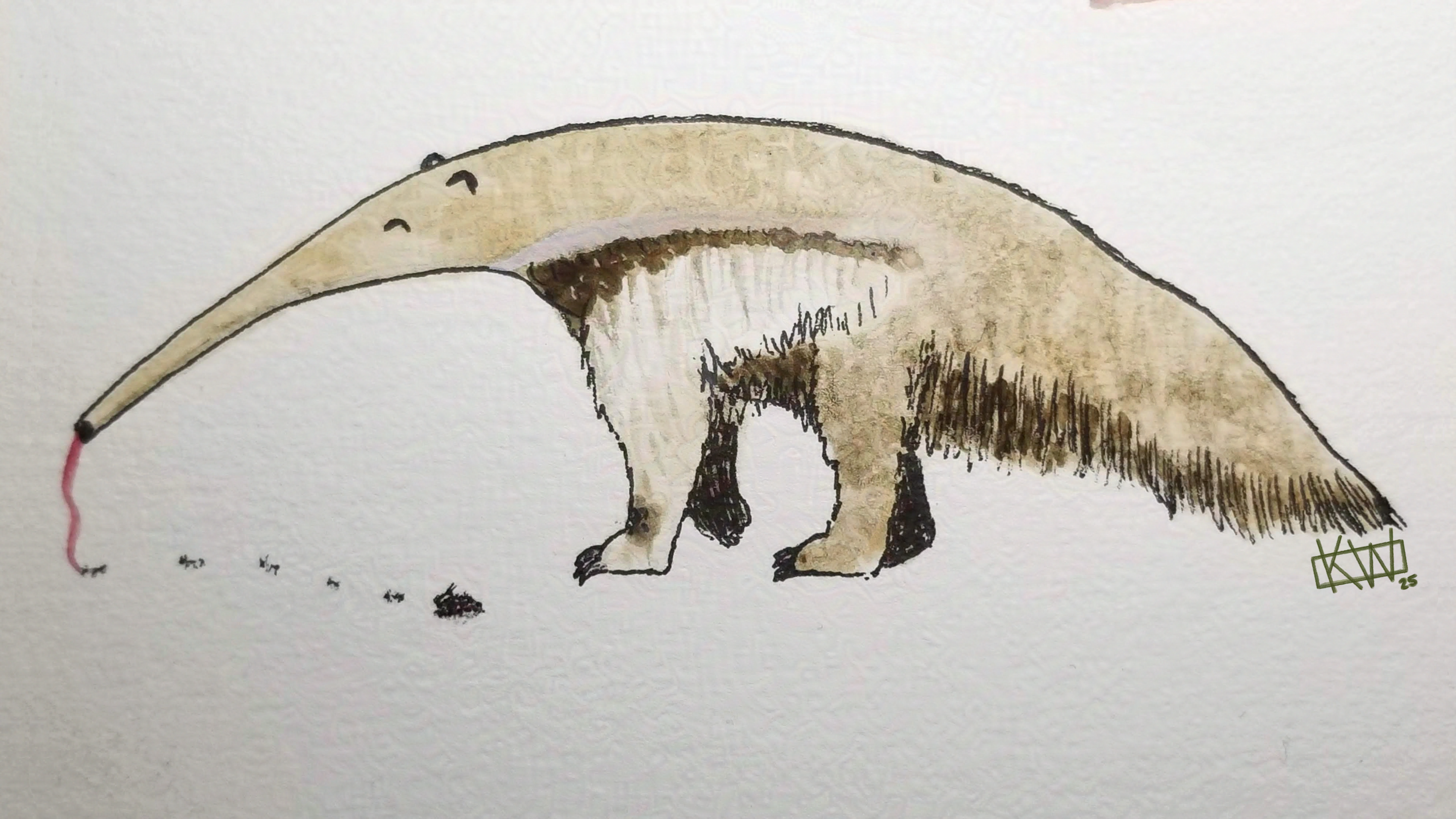 Watercolor giant anteater, happily lapping up ants.