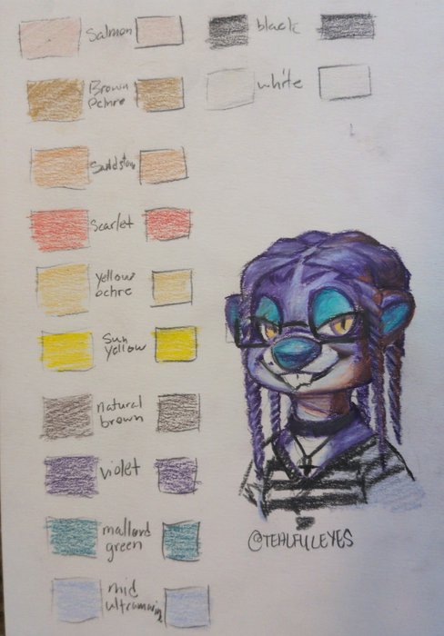 Chart of 12 colour pencils colour variants from the Derwent set along with a portrait sketch of Tealful Eyes as their Beaver persona, Booper.