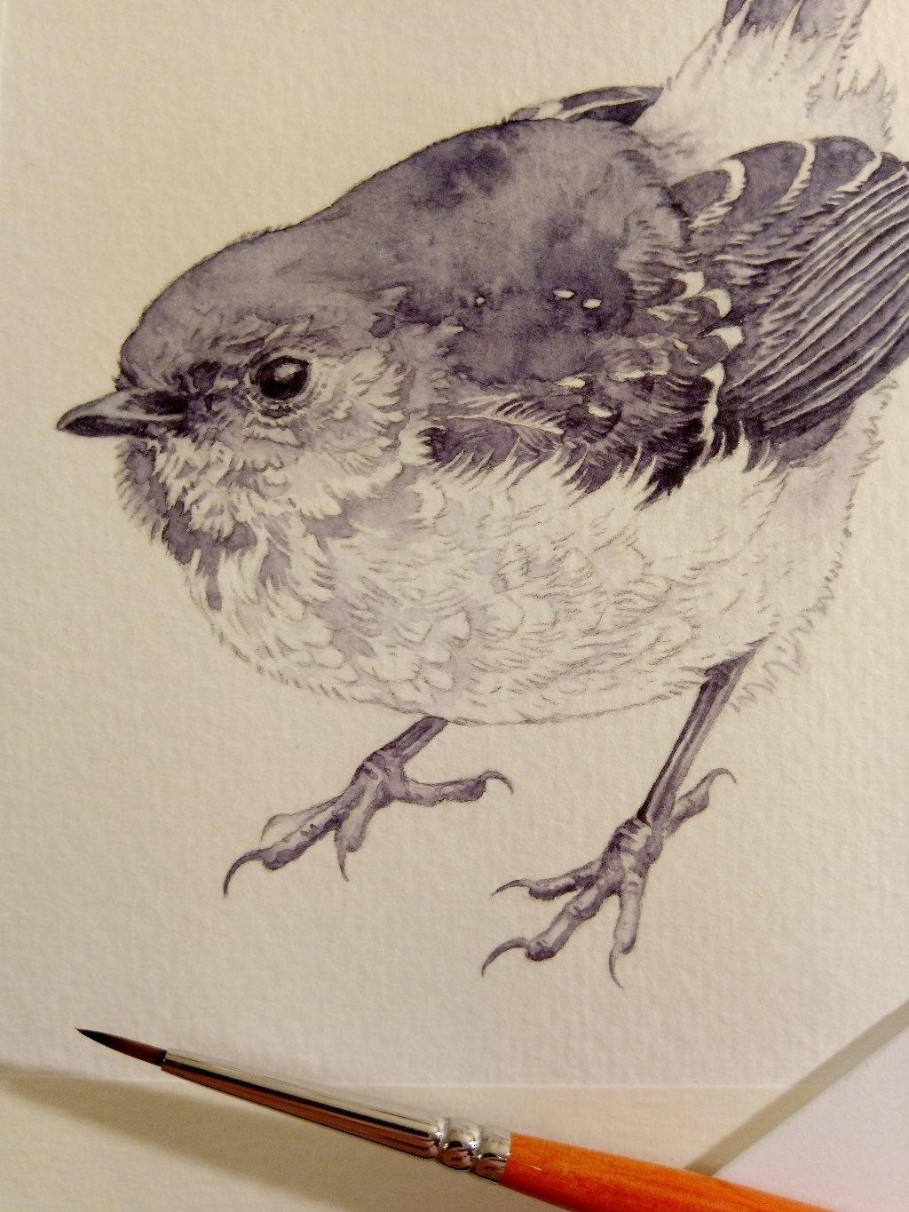 watercolor painting in progress, a cute fluffy bird with sharp claws and a determined air