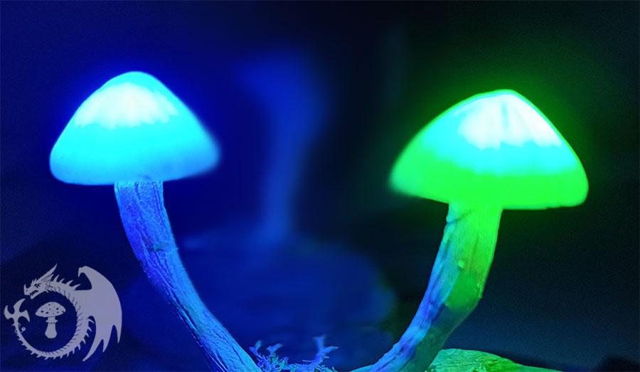 A close-up view of the mushrooms in the dark. Since LEDs have been installed in the caps, the mushrooms now glow blue and green.
