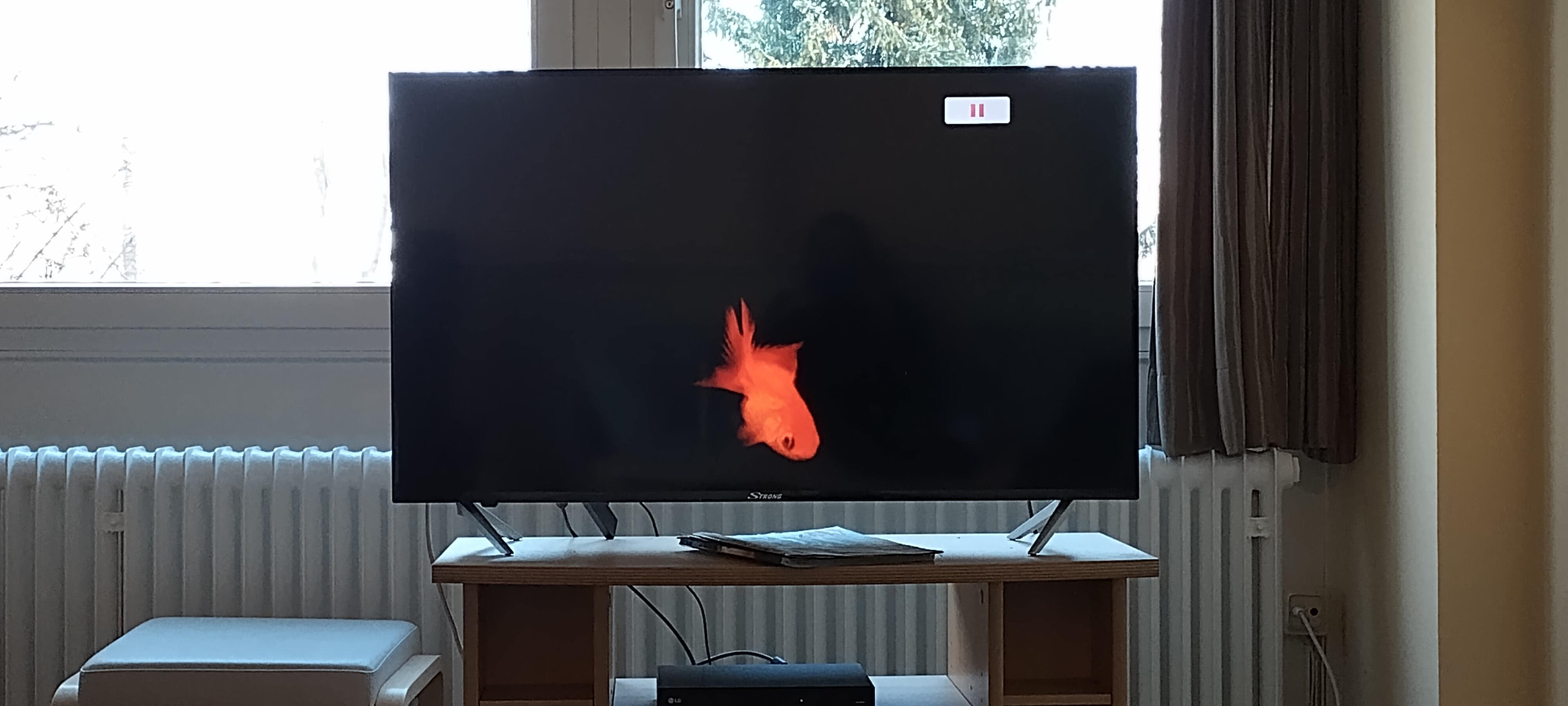 Link Preview Image
