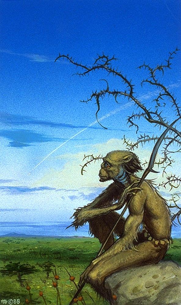 Link Preview Image