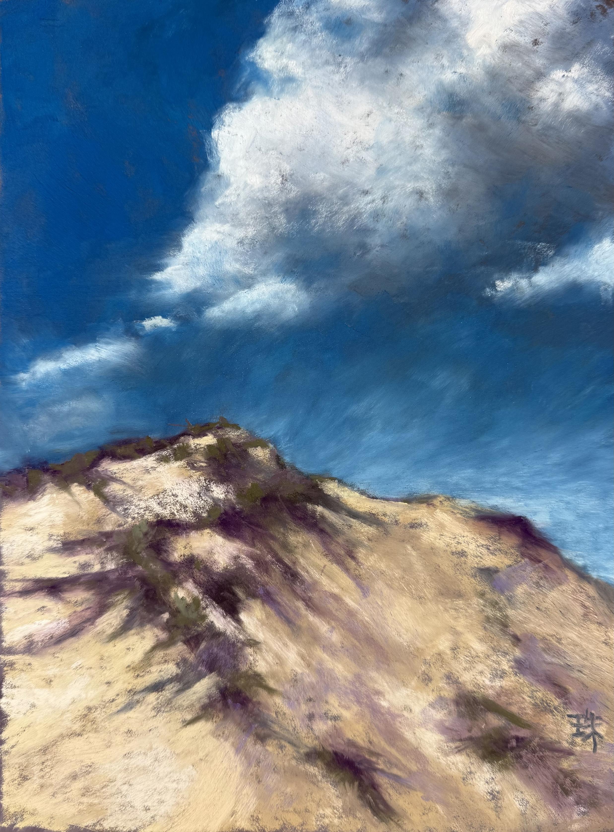 A pastel painting of a sand dune with spotty vegetation casting shadows. Blue sky with bright clouds.