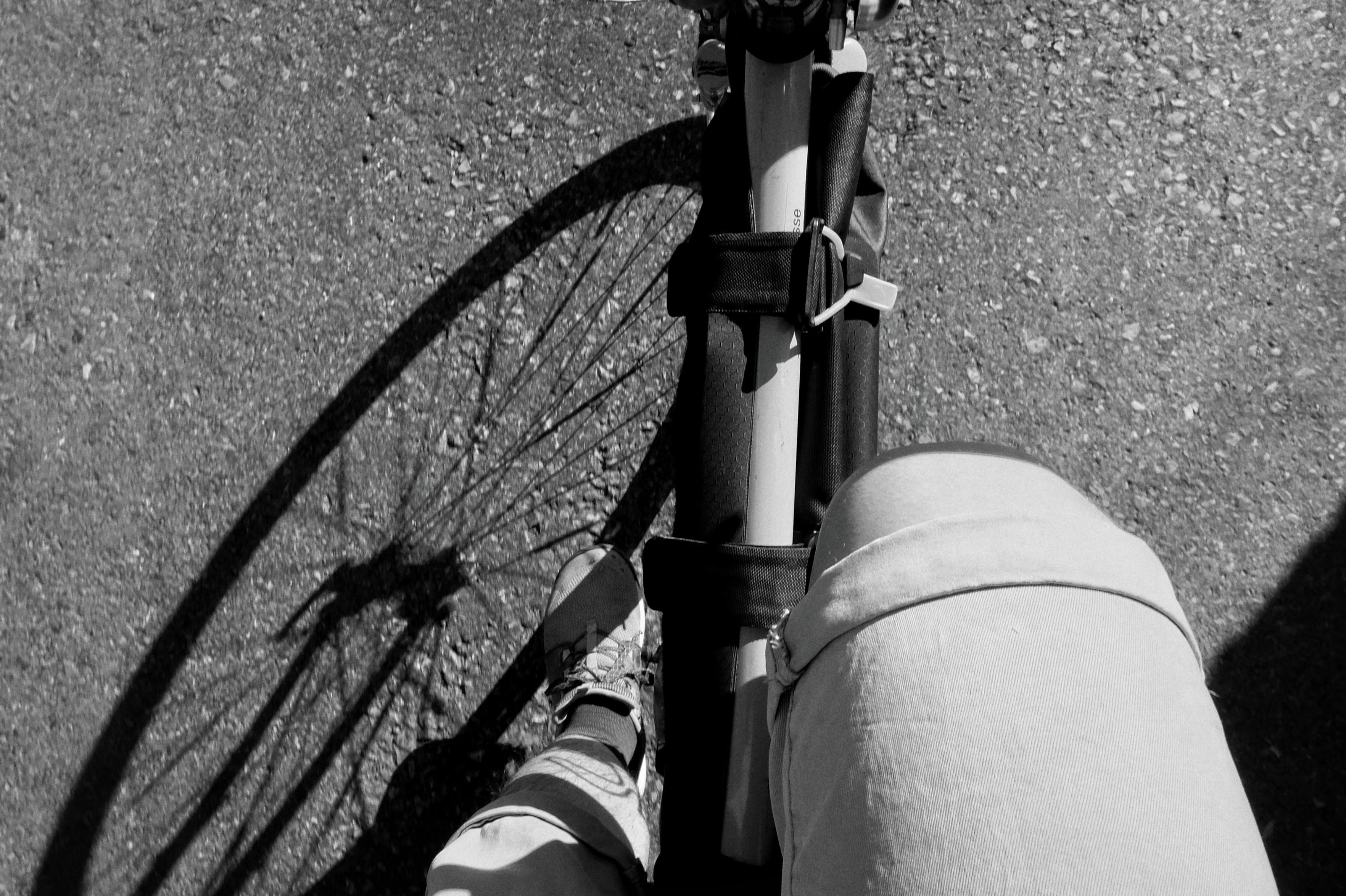 Posted media