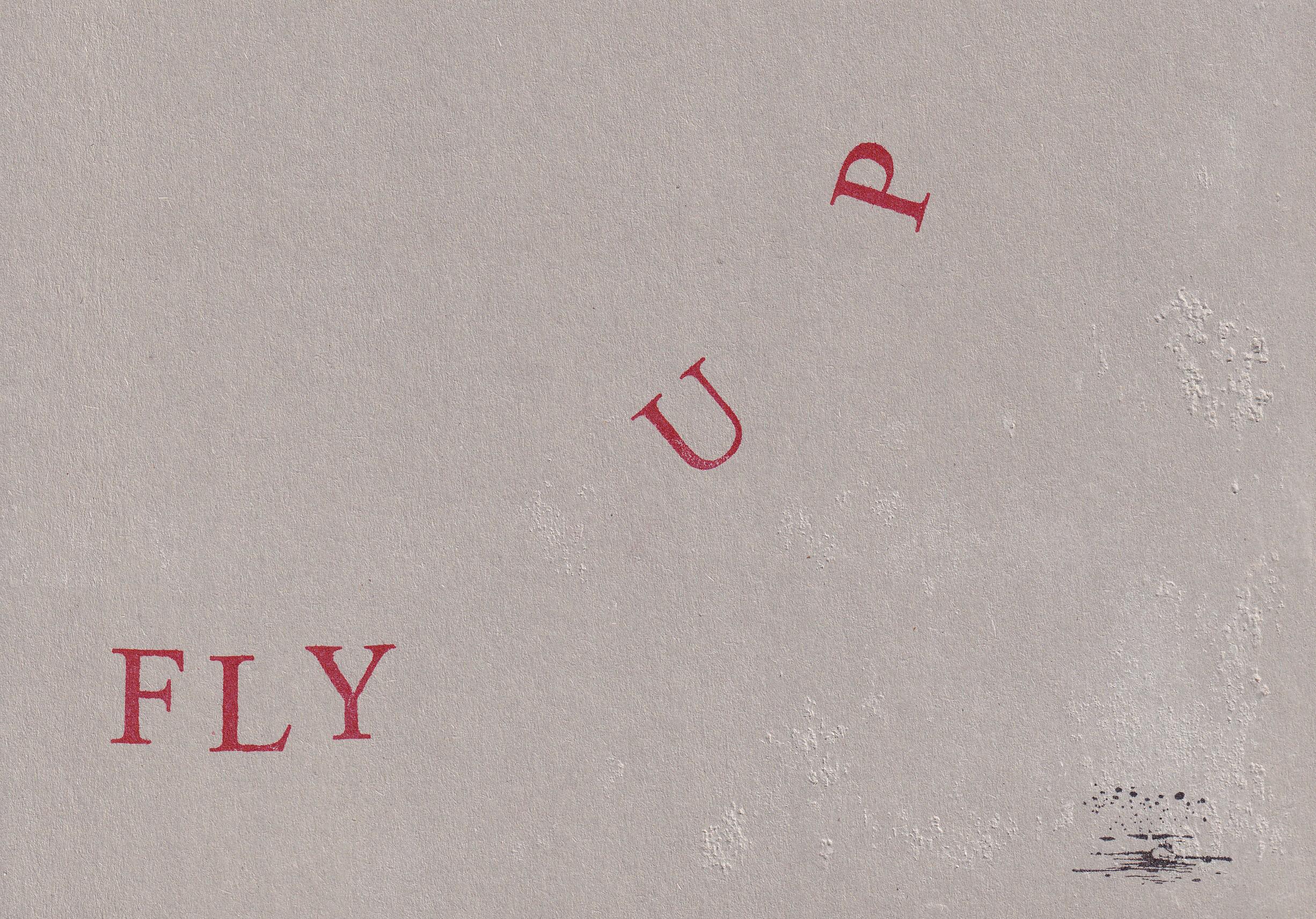 Postkarte Fly up