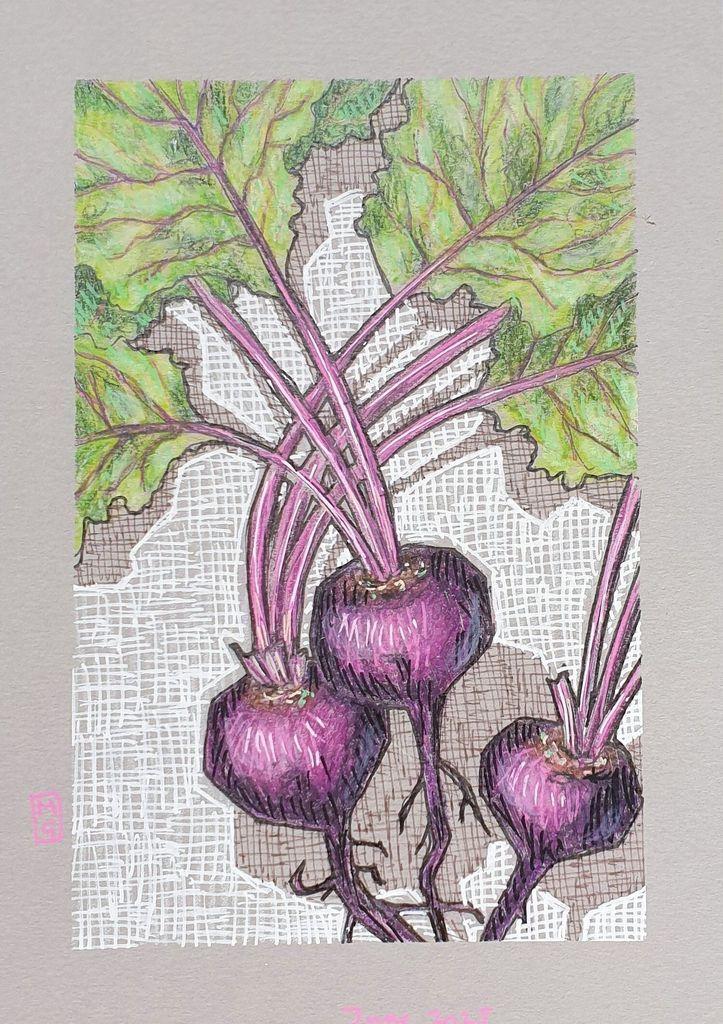 A small original drawing of purple beetroot with stalks and green leaves. The drawing is on grey toned pastel paper.
An original art work, please note that the frame is not included.
Colour pencil and mixed media on acid free toned artist paper
5 by 7 inches (12.7 by 17.8 cm).