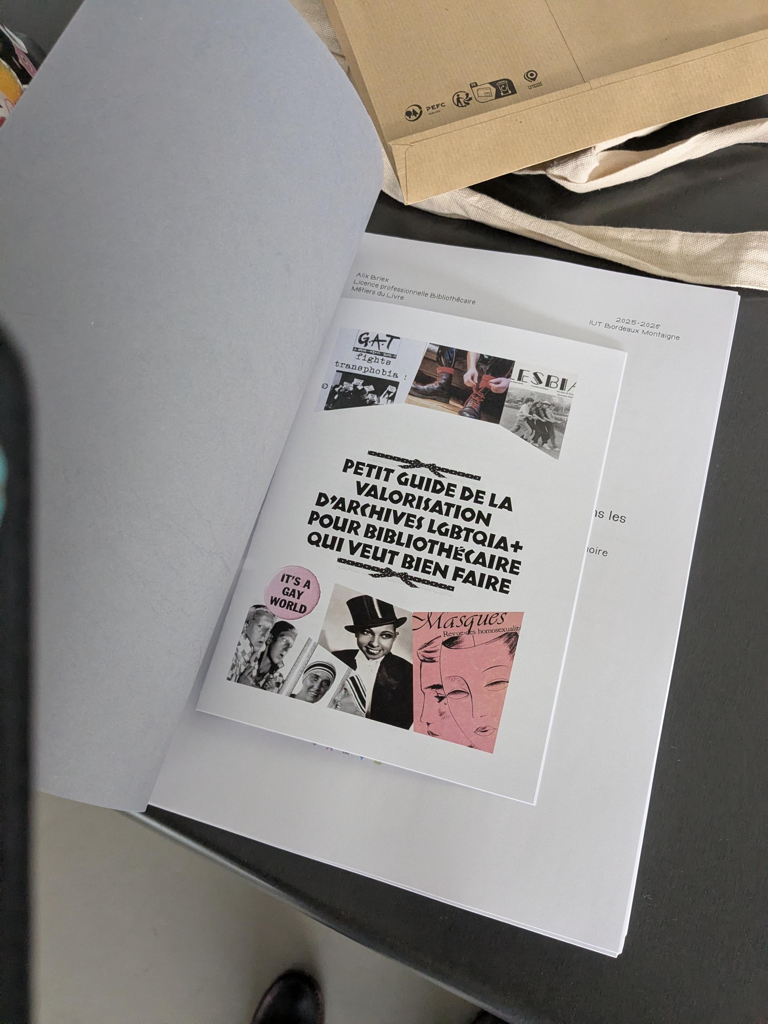 Le mémoire et ouvert, une brochure A5 est glissée dedans. Sa couverture est illustrée d'un montage avec plusieurs archives LGBTQIA+ comme une photo de Joséphine Baker, la couverture du journal Lesbia, une oeuvre de Marcel Moore et Claude Cahun, un flyer du gat et un badge. Le titre encadré avec des rubans mignons est "petit guide de la valorisation d'archives LGBTQIA+ pour bibliothécaire qui veut bien faire"
