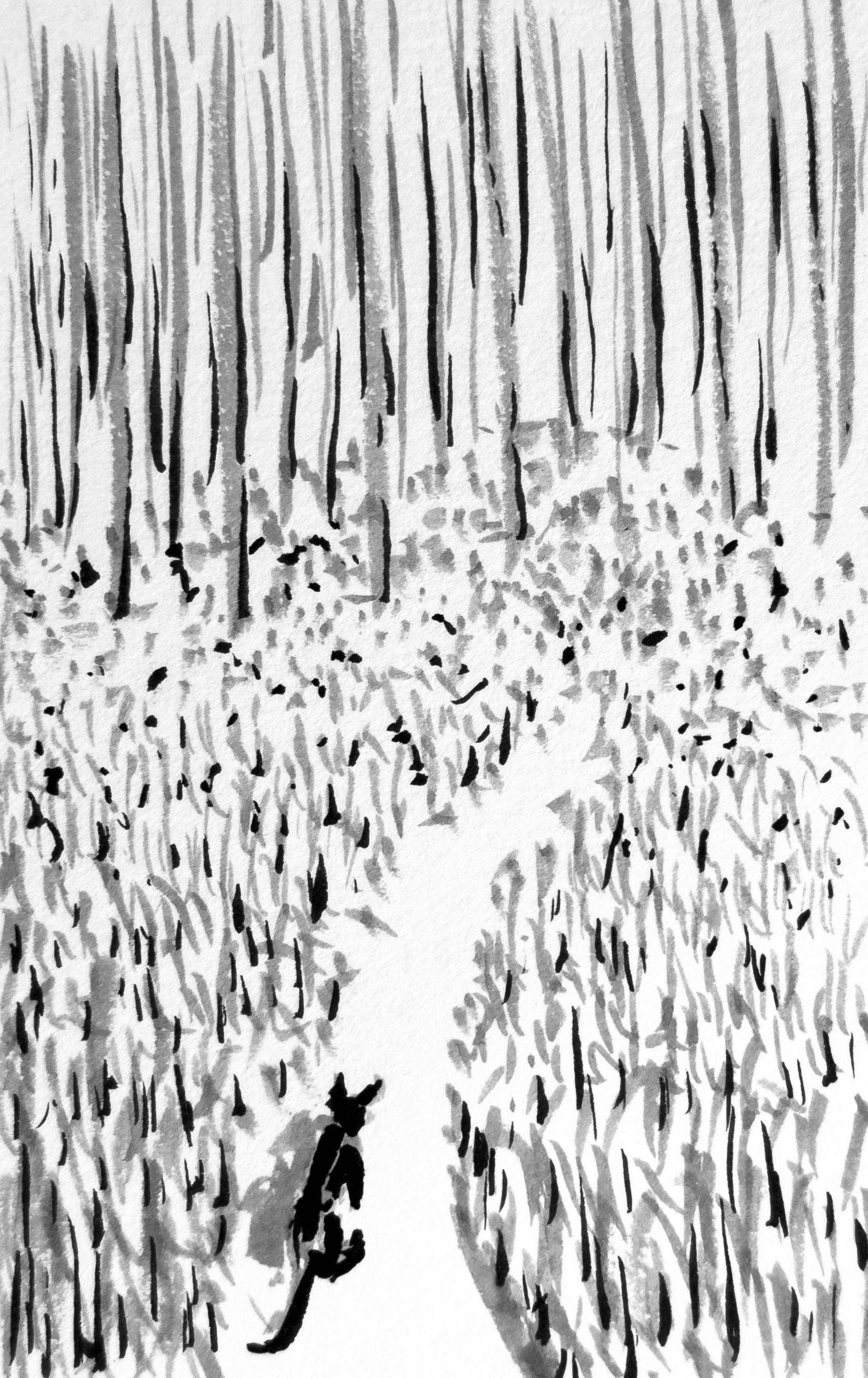 Ink sketch of a dog on a path leading to a woods.