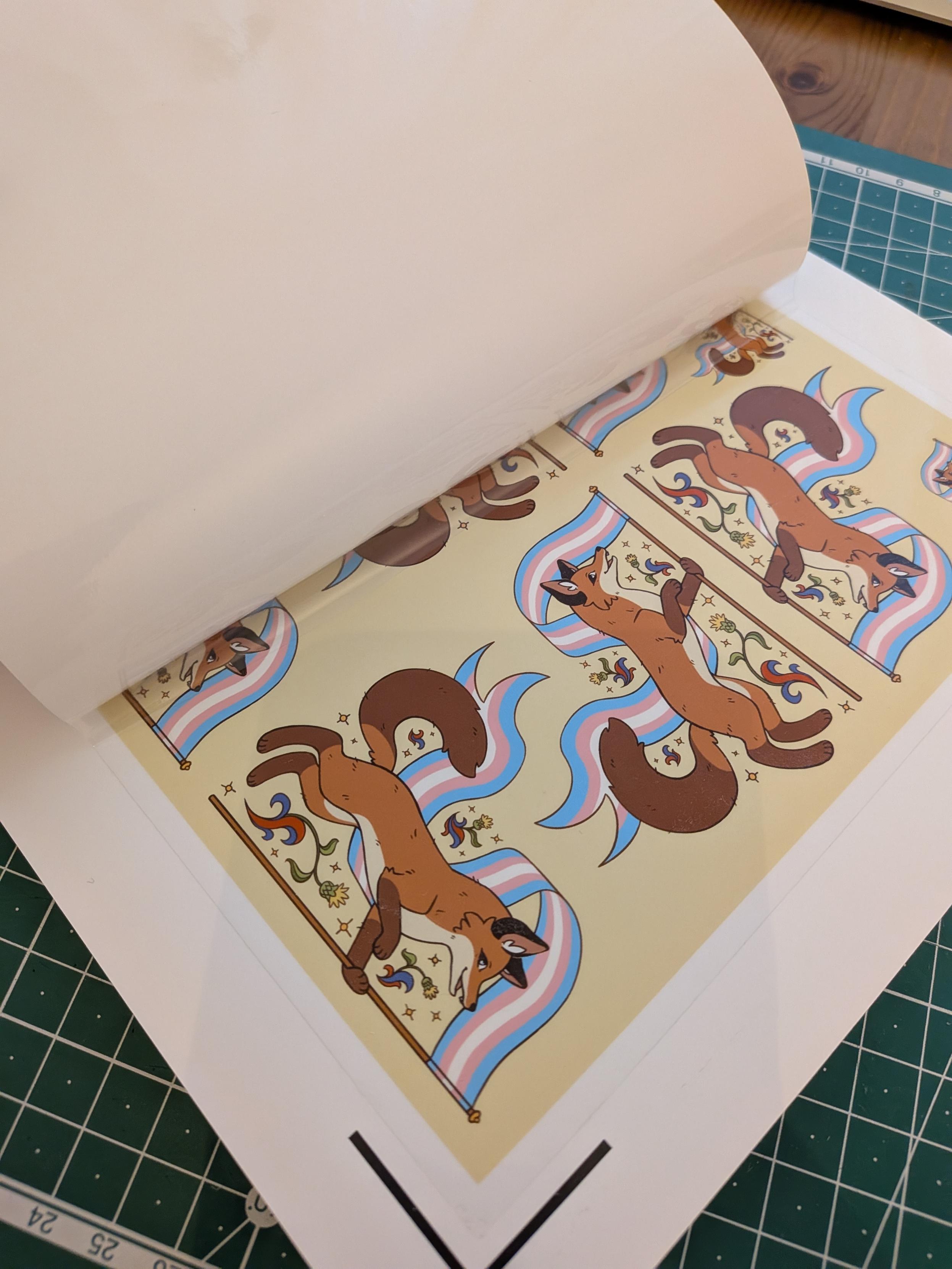 One of the sheets of sticker paper with laminate halfway applied to it.