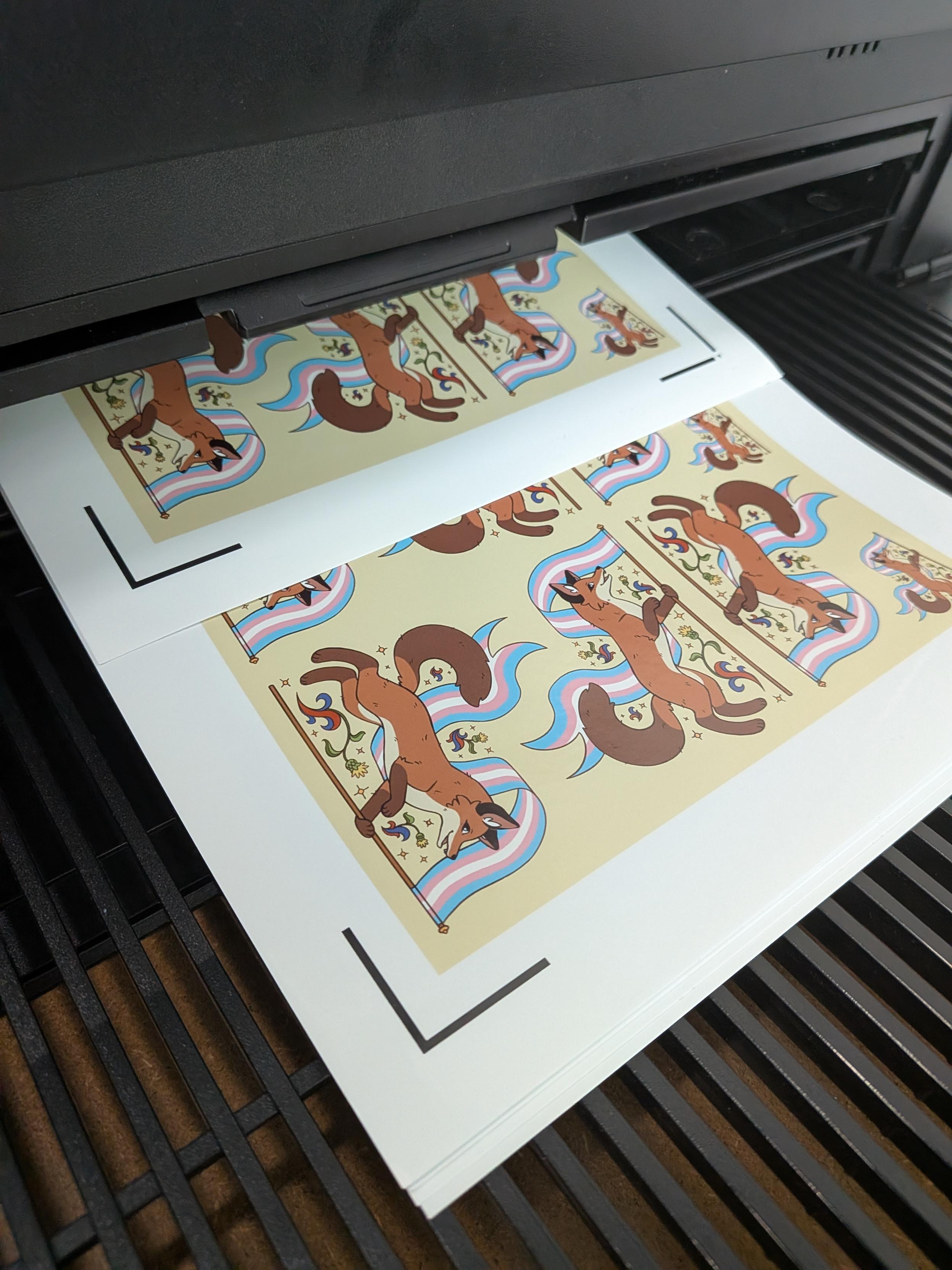 Foxes with trans flags being printed on sticker paper.