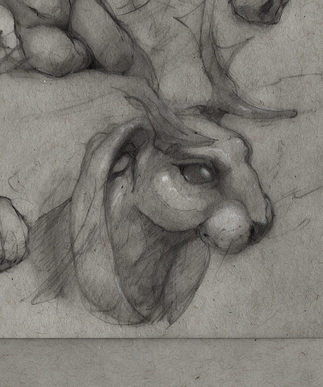Pencil portrait of a bavarian mythical creature "Wolperdinger" a mixture of rabbit and deer.