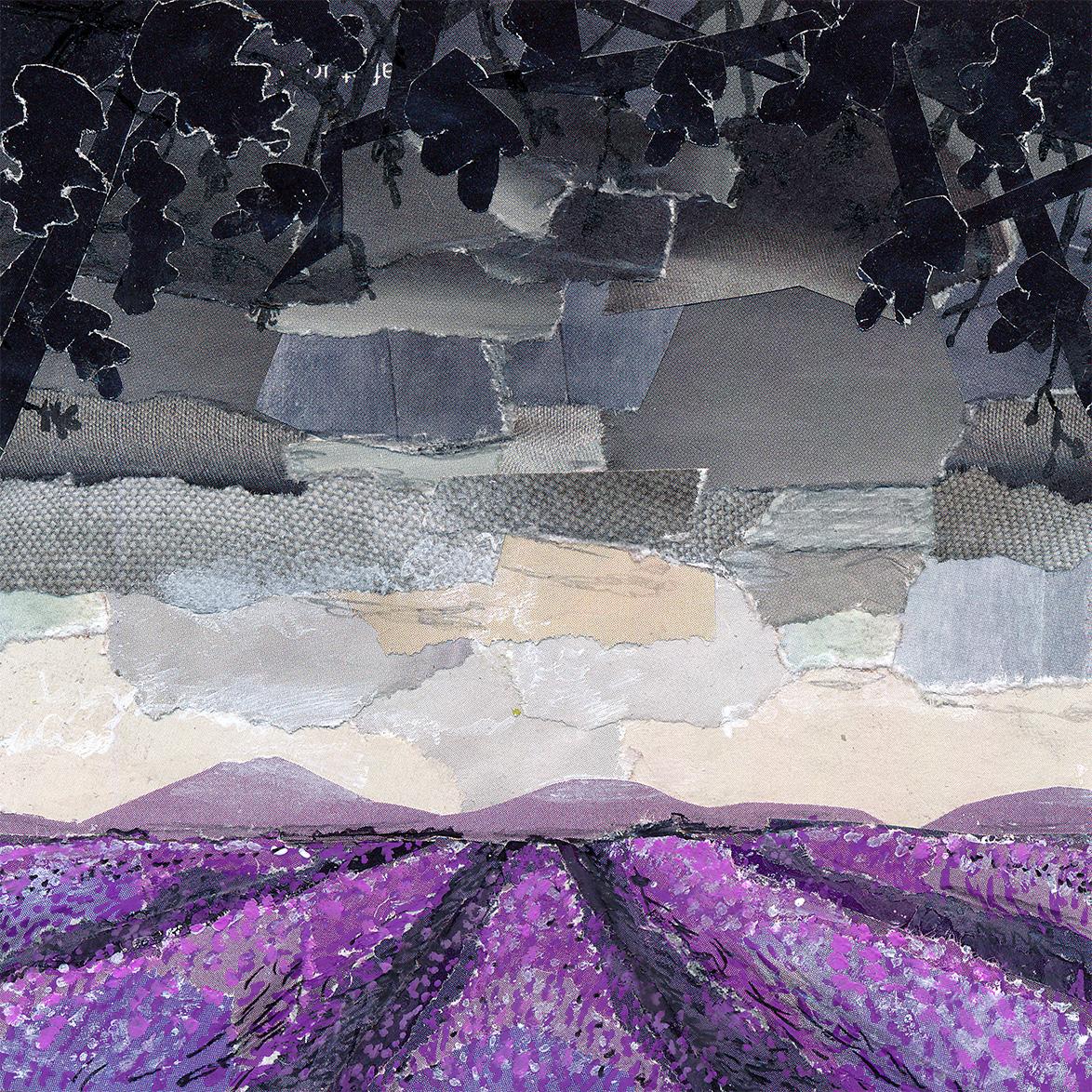 A mixed media collage illustration of a moody landscape featuring a field of lavender flowers, framed by silhouetted bushes. The colours create the illusion of the asexual pride flag.