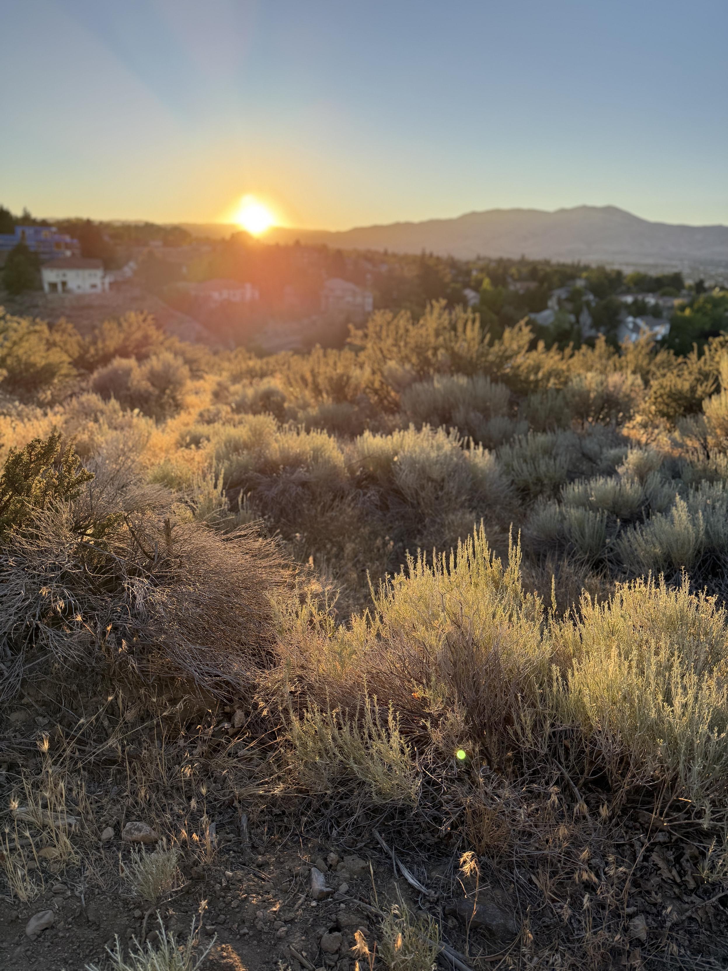 The setting sun is just barely above the horizon, lighting the sagebrushes with warm orange/yellow. Mountain silhouette afar.