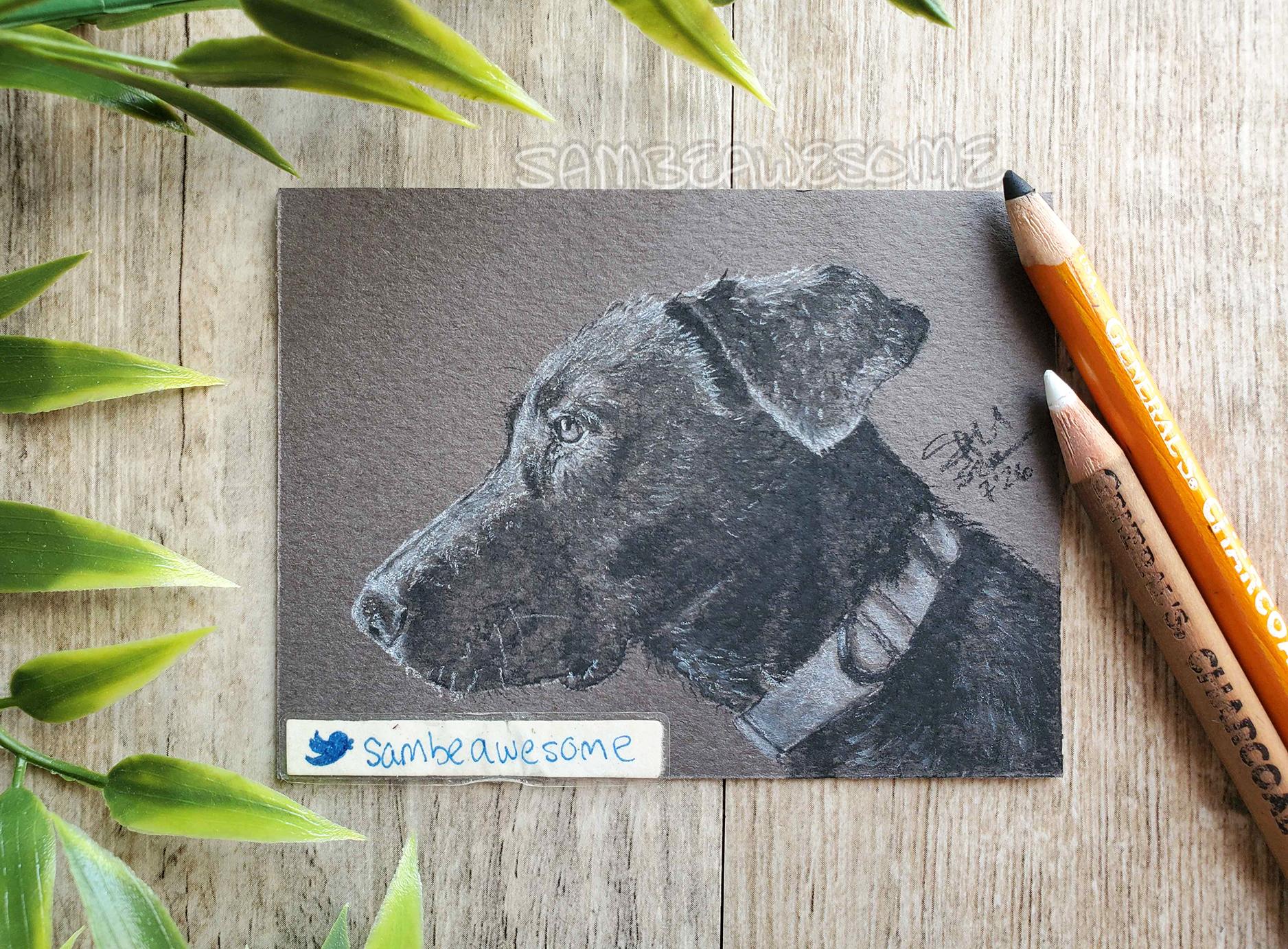 A photo of a realistic charcoal portrait of a black labrador mix / mutt in profile. The front of her face is highlighted and there are deep shadows around her neck. She's wearing a collar. Dog owned by Halfashrike.