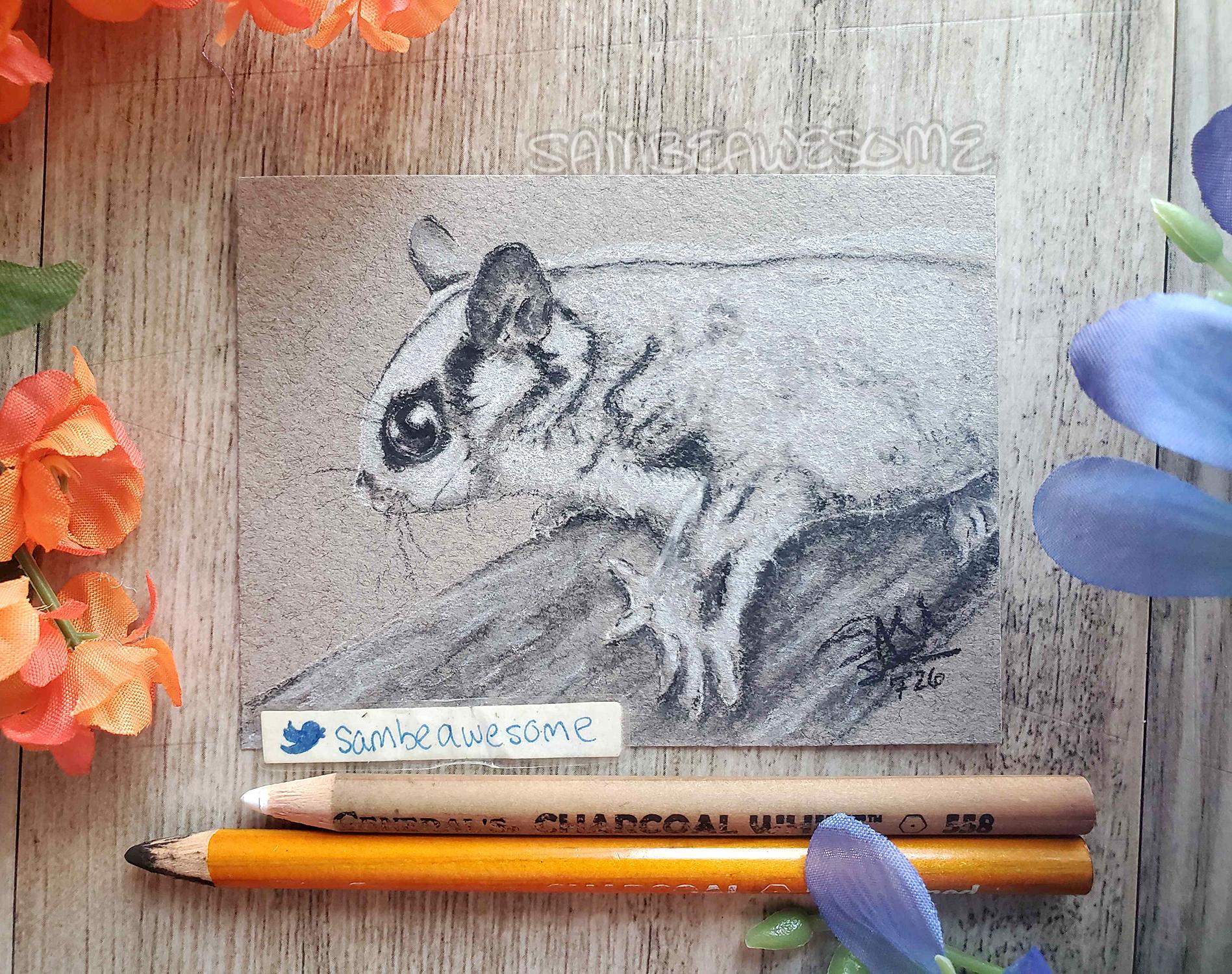 A photo of a realistic charcoal portrait of a sugar glider, seen in profile, gripping on to a branch. Faux flowers and the pencils used to make the artwork lay next to it. Pet is owned by WHITE_MOTH.