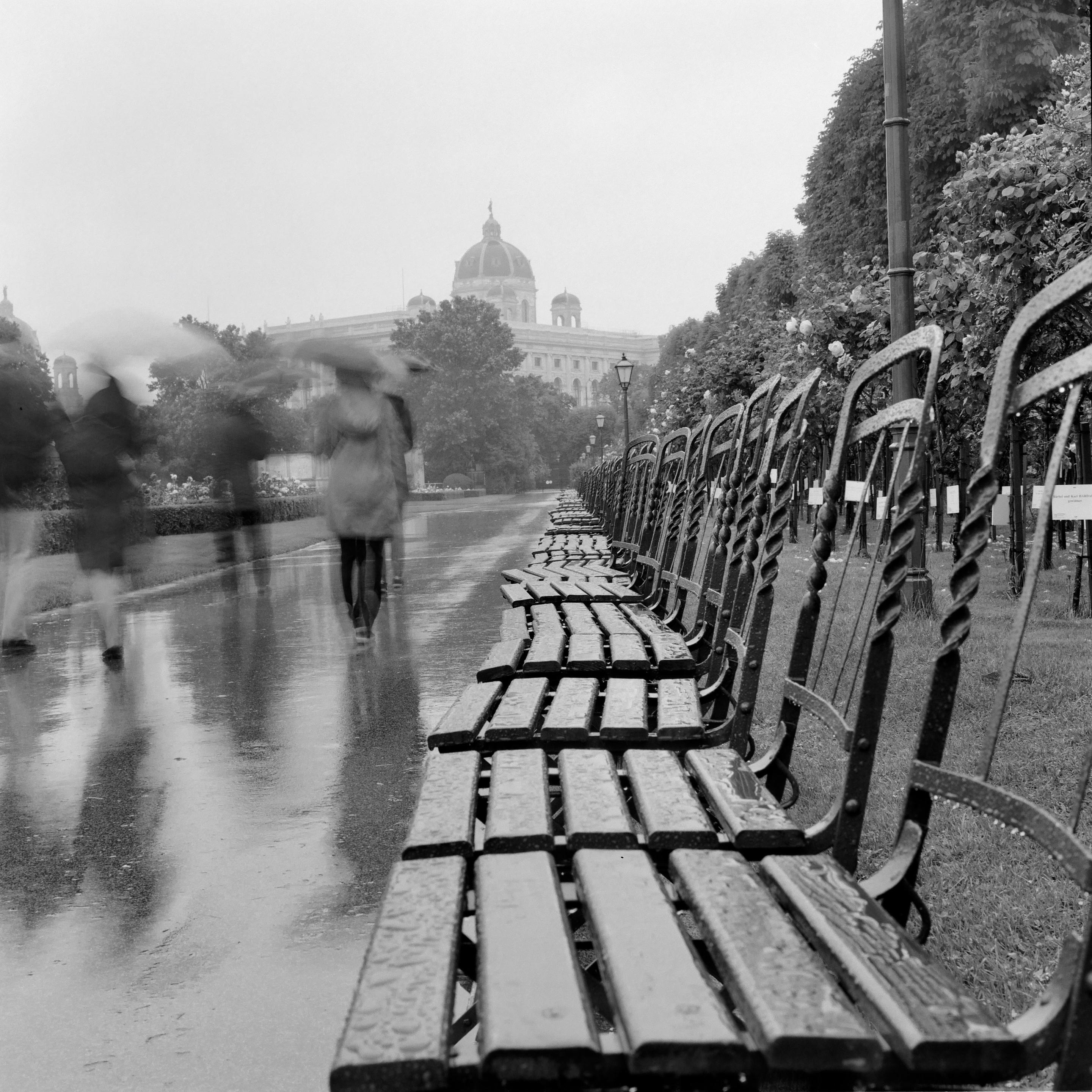 The black and white image shows a rain-soaked park walkway lined with wet wooden benches, while blurred pedestrians carrying umbrellas move through the scene and a domed historic building rises in the misty background.