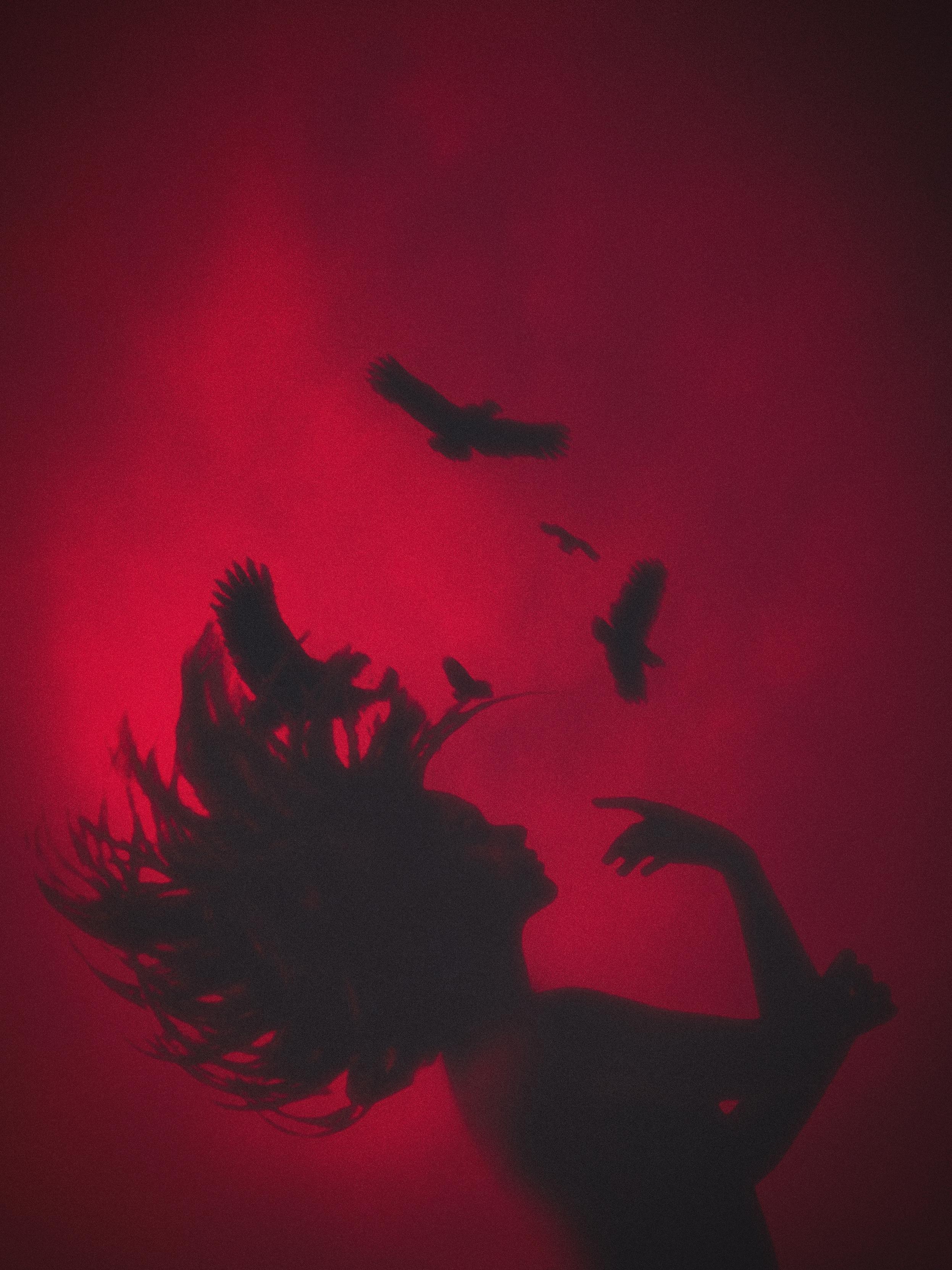Dark silhouette of a person’s profile against a saturated red backdrop. Black birds fly out of their messy, flowing hair, symbolizing a release of thoughts or spirit. High-contrast gothic aesthetic.