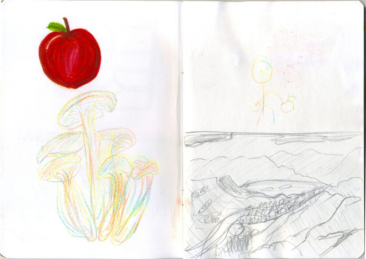 Sketchbook page. A drawing of a red apple in pen, a drawing of a cluster of mushrooms in multi-coloured pencil and a drawing of a landscape in pencil.