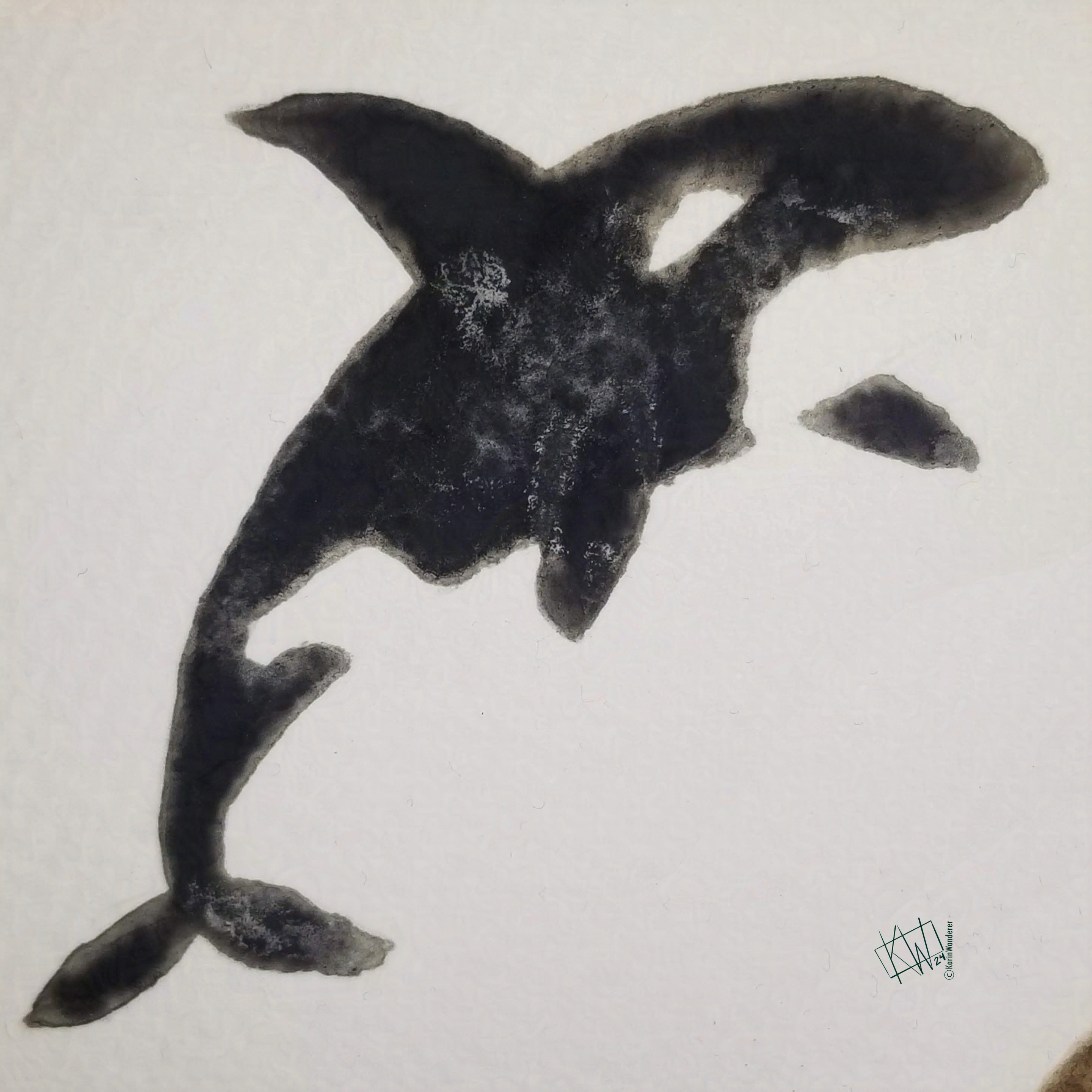 Watercolor orca leaping out of the water.
