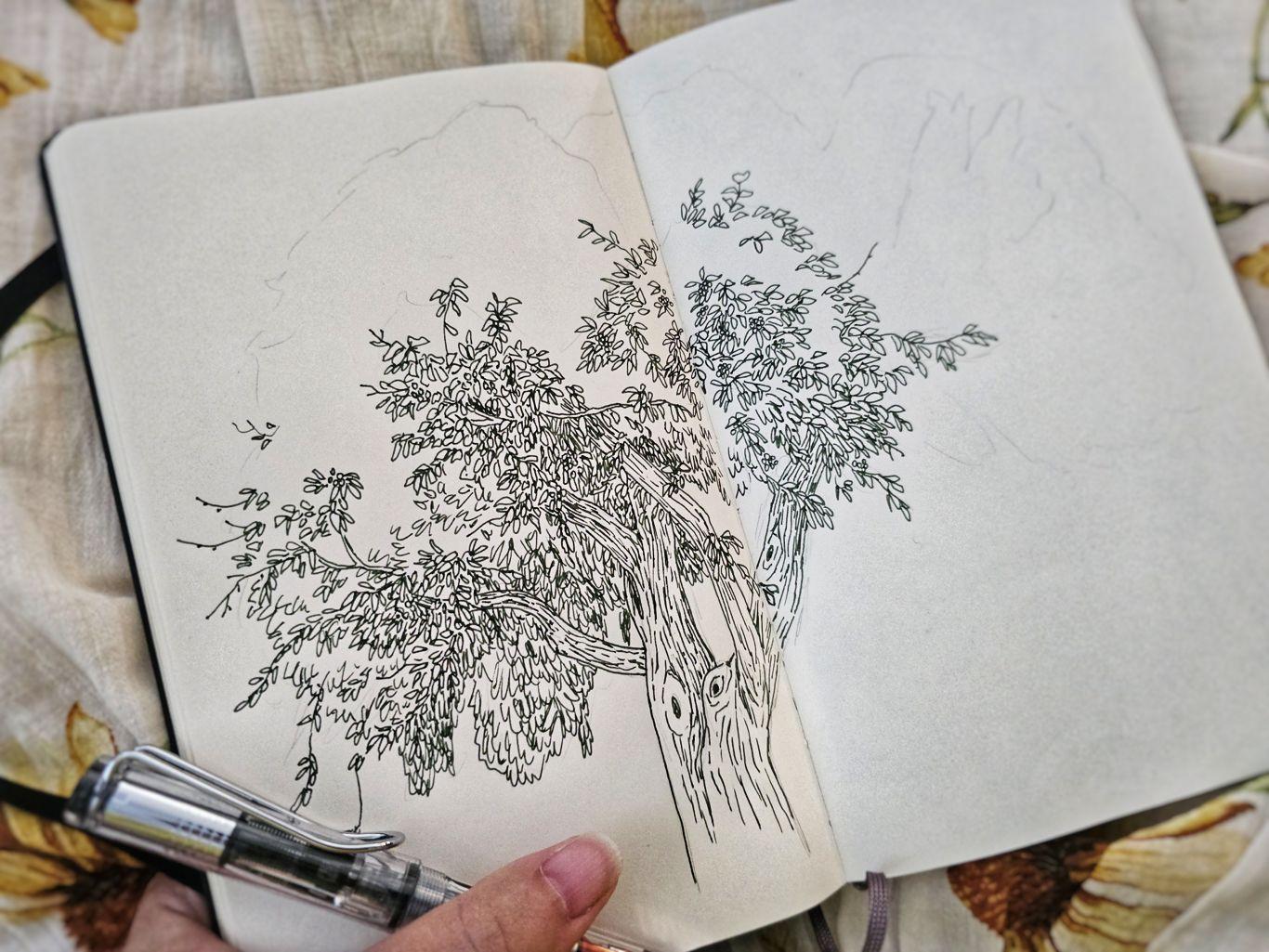 Sketchbook spread with a half-inked doodle of a leafy tree. I'm holding the book open with one hand, while also holding the fountain pen filled with dark green ink.