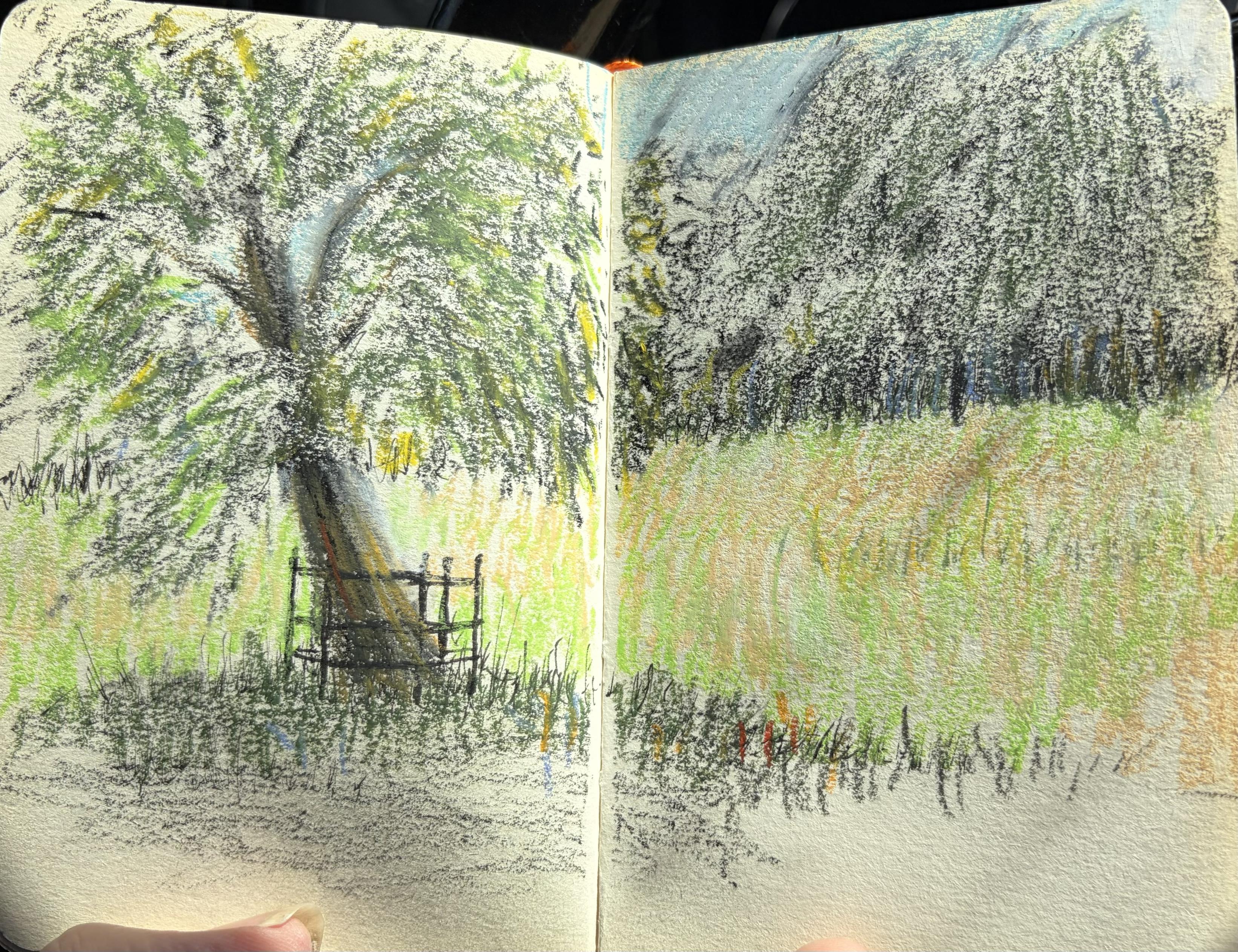 A colored pencil drawing of a tree beside a grassy field. The tree is detailed with green leaves and a textured trunk, while the field features varying shades of green and hints of orange and yellow, indicating a natural landscape.
