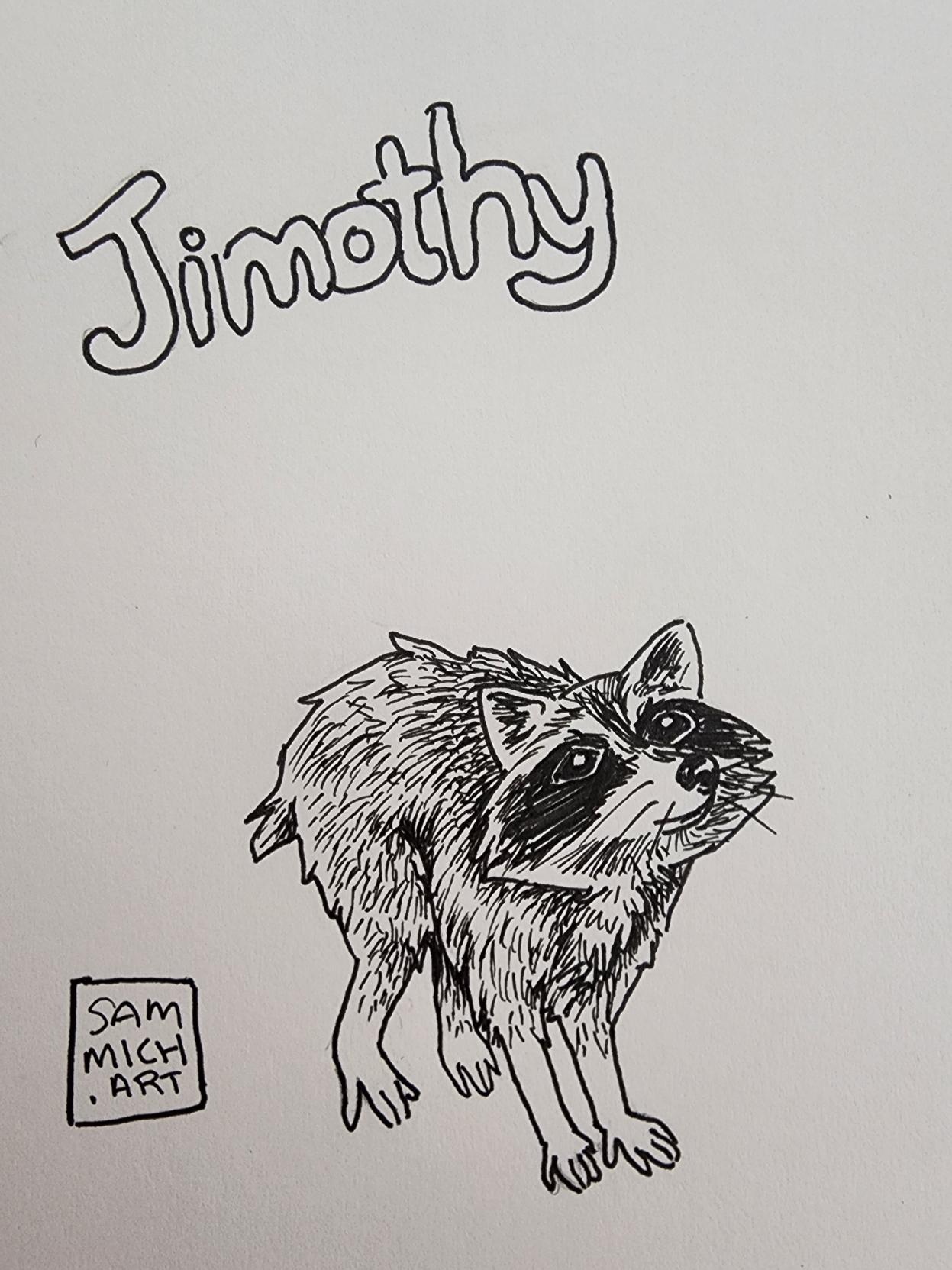 A drawing of Jimothy, racoon with a shortnened fused spine and long legs. Rendered in ink on paper.