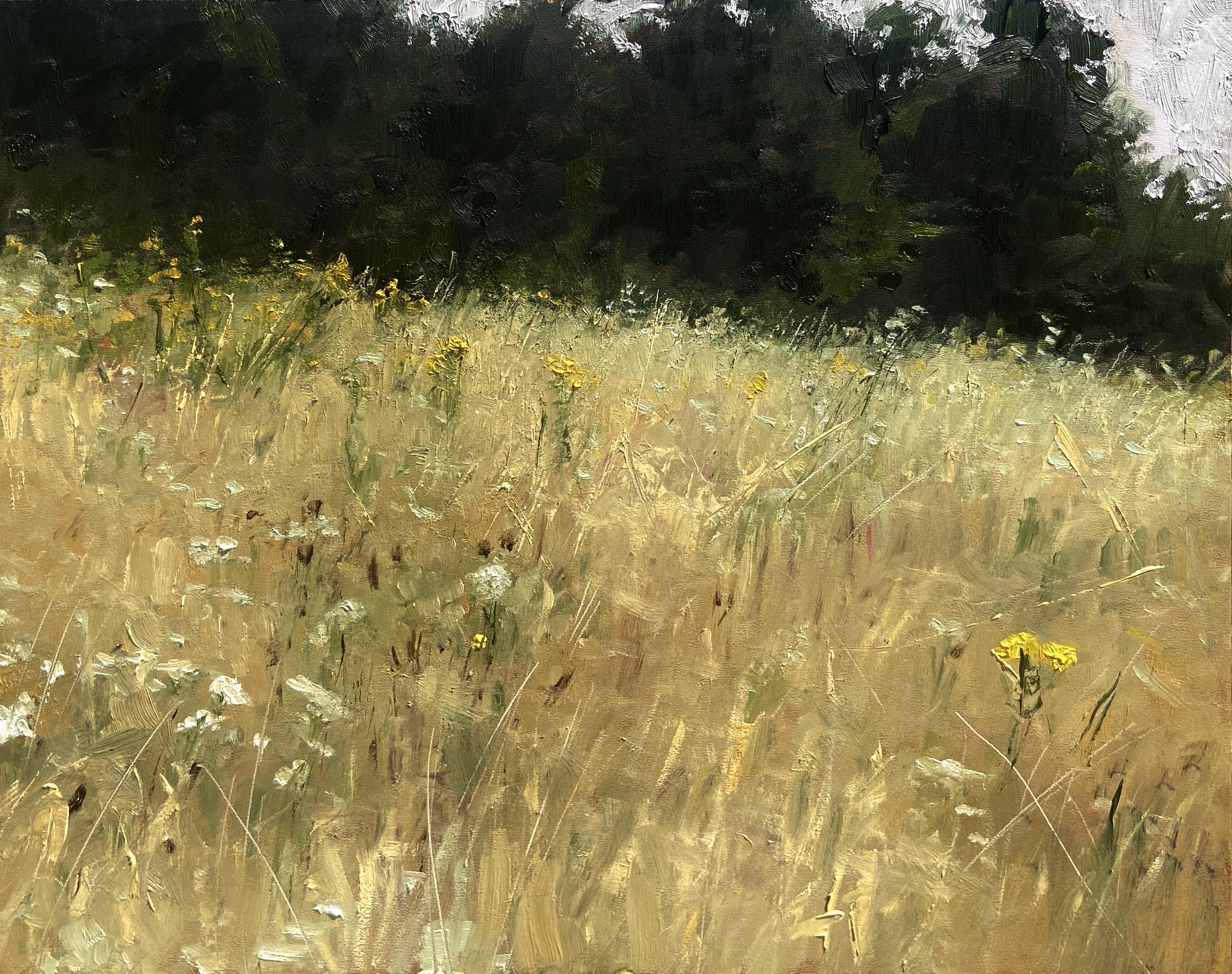 Allaprima oilpainting of a wild meadow. There are trees in the background and the grass is painted very fluffily.

24x30 cm oil on panel, painted in ~4 hours