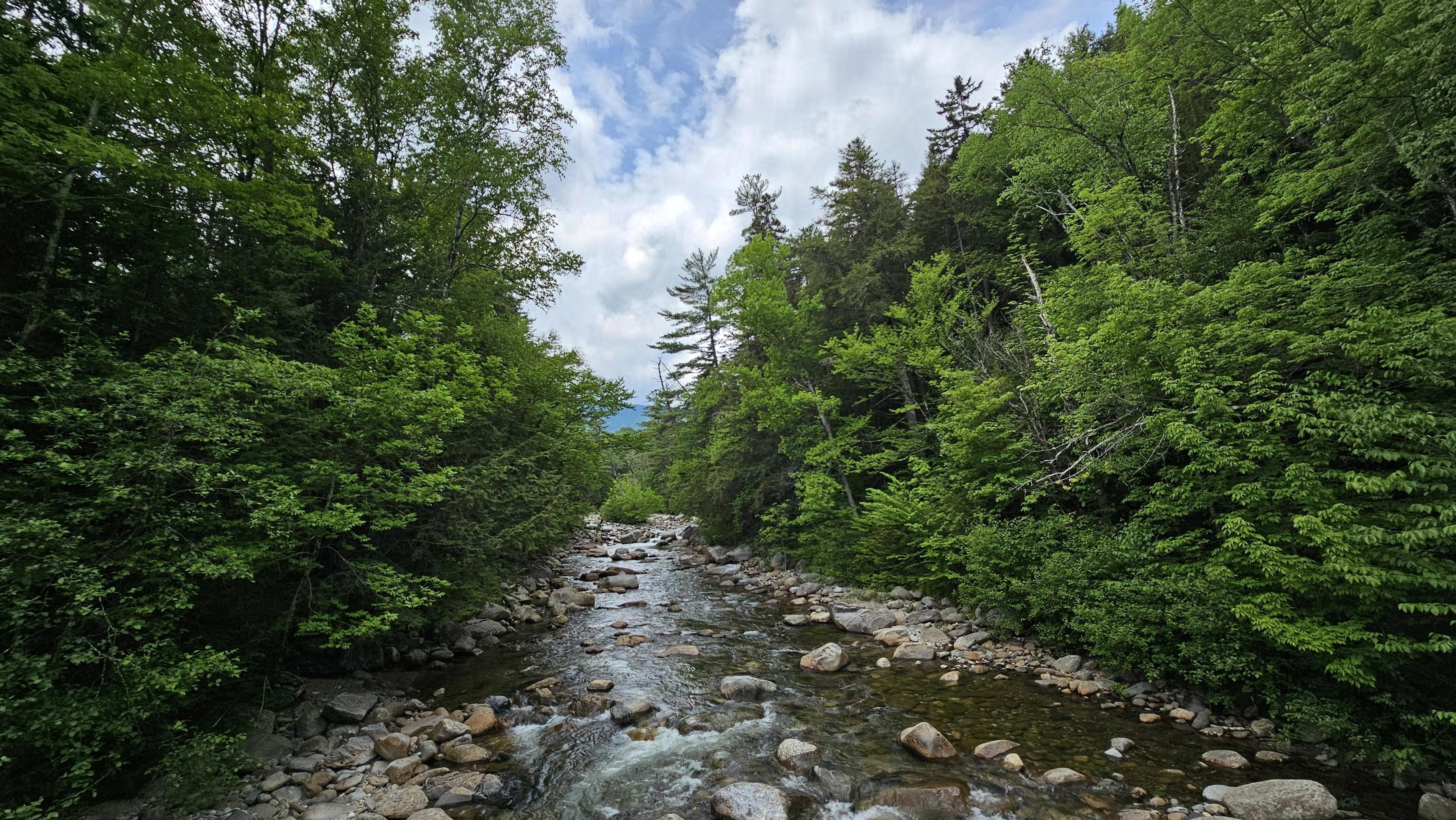 Photo of a river flowing straight over a rocky bed between banks lined with brilliantly green trees. In the distance a mountain rises behind the trees, all under a sky quickly filling with clouds.