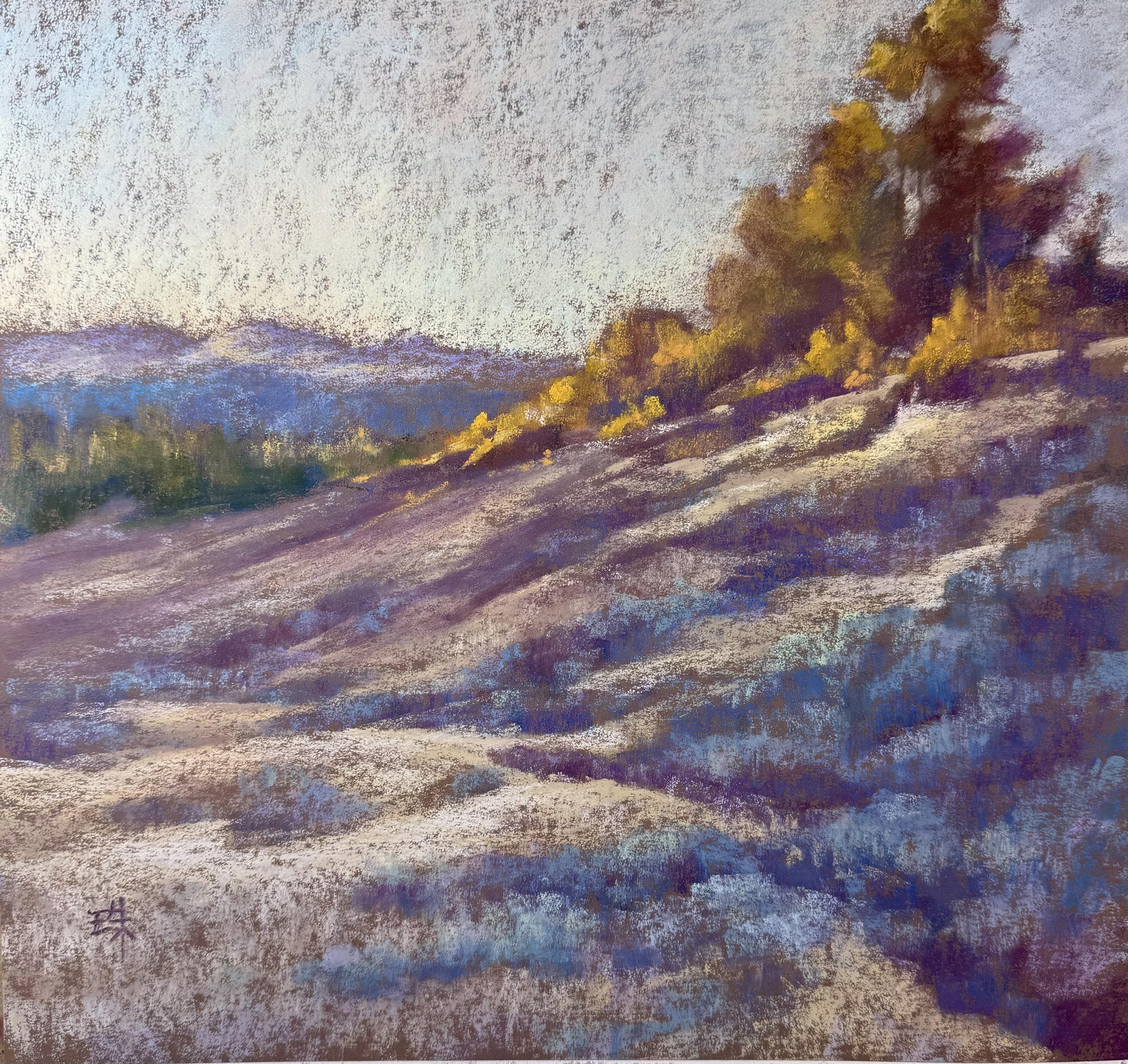 A square pastel painting of a hillside with the trees on the top illuminated by the setting sun. Blue-green sagebrush in the foreground in the shade. Textured.