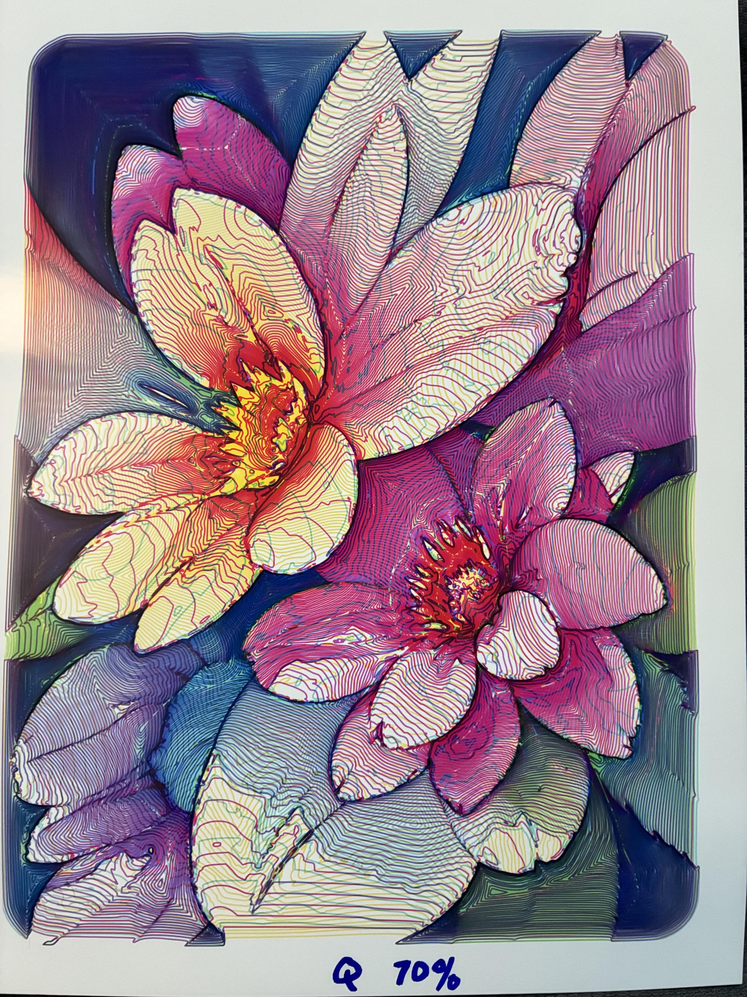 The image showcases a vibrant, abstract artwork featuring large, colourful flowers. The flowers are primarily shades of pink, red, yellow, and white with intricate, wavy contour lines outlining and shading the petals, giving a topographical map-like effect. The background blends deep blues, purples, and greens, adding depth and contrast. The petals have a layered, almost three-dimensional appearance due to the detailed line work. At the bottom, there's a handwritten note in blue ink that reads "Q 70%."