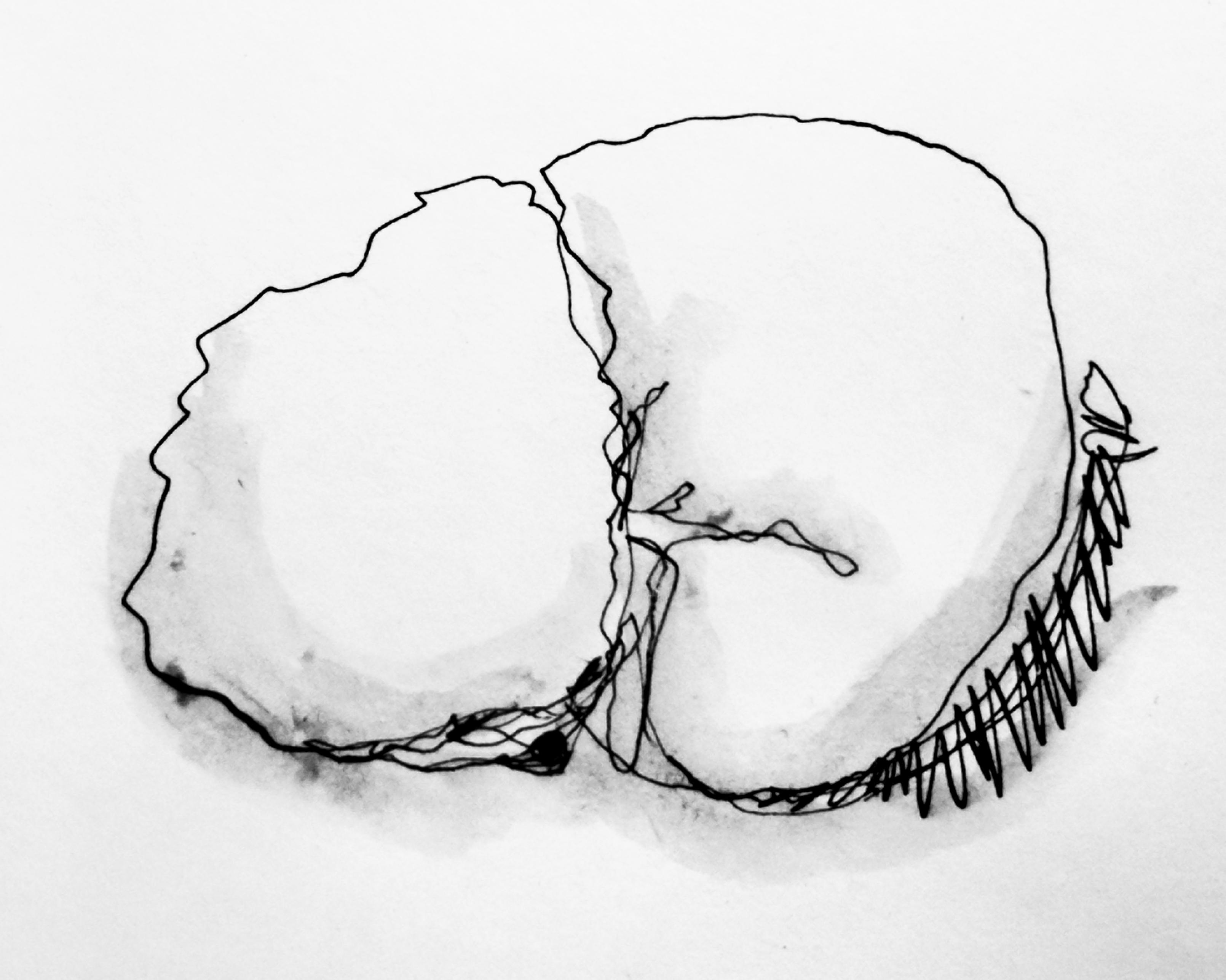 Ink sketch of George! (Small white fluffy dog).