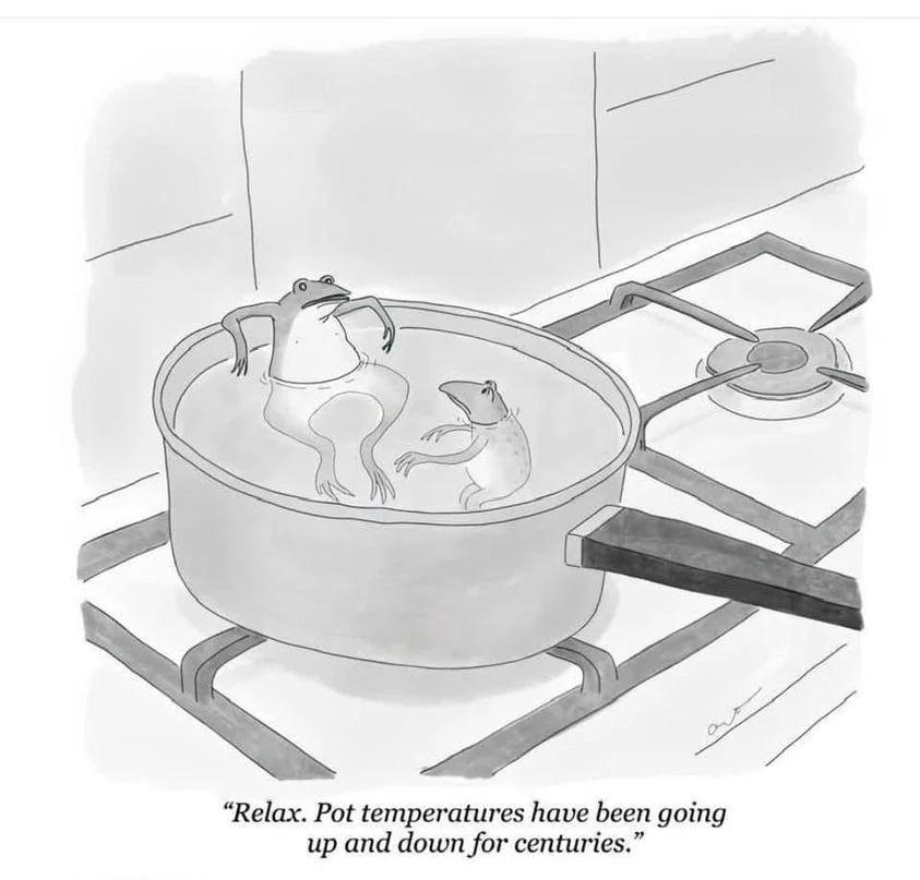 Drawing of two frogs sitting in a pot on a stove.
Caption: "Relax. Pot temperatures have been going up and down for centuries."