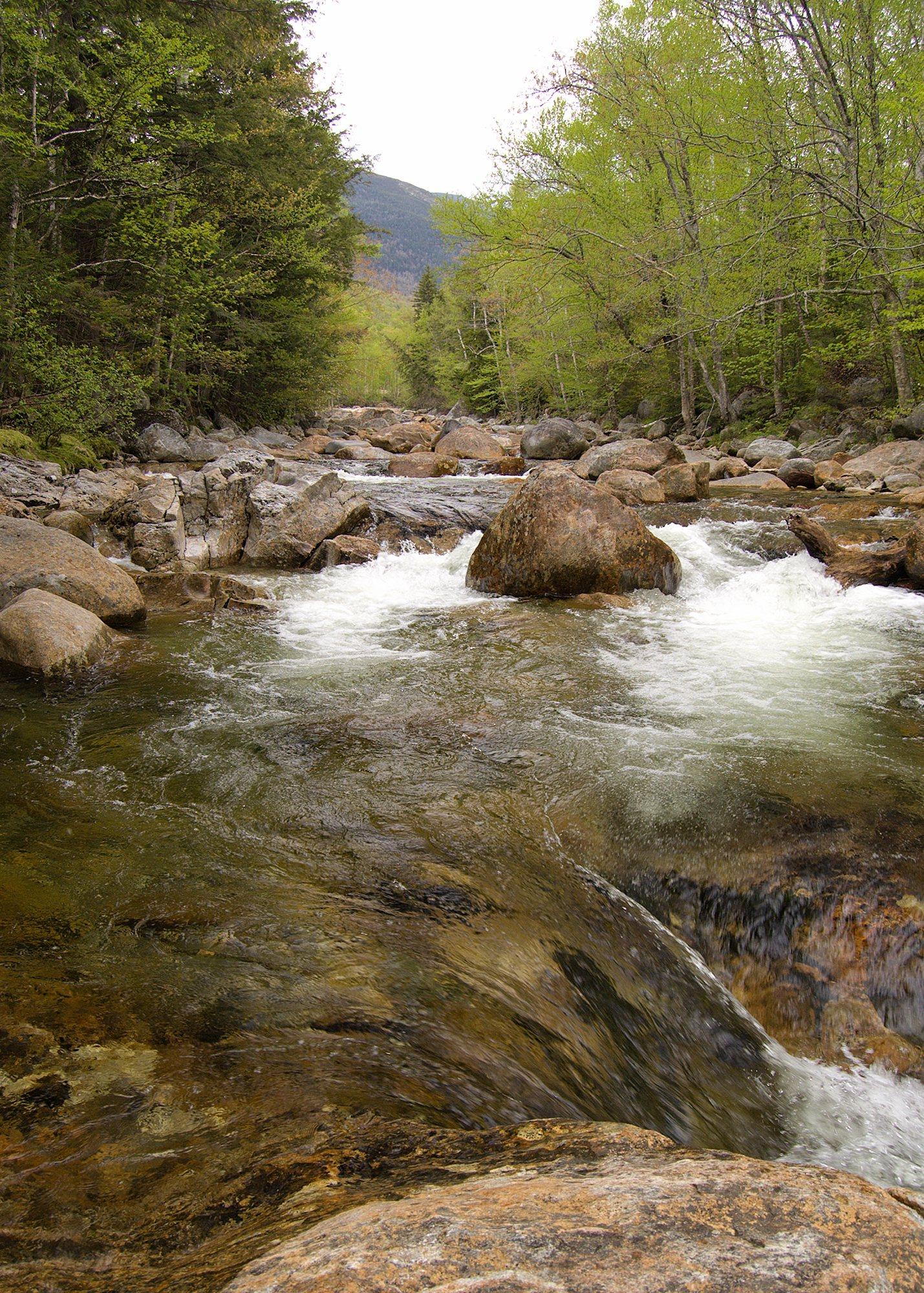 A clear and refreshing river tumbles down between boulders in the mountains, surrounded by freshly leafed trees in Spring.