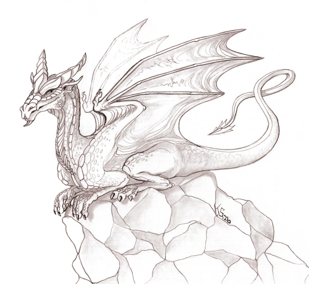 A pencil drawing showing a Western Dragon, with many scales, sitting on a big rocky cliff.