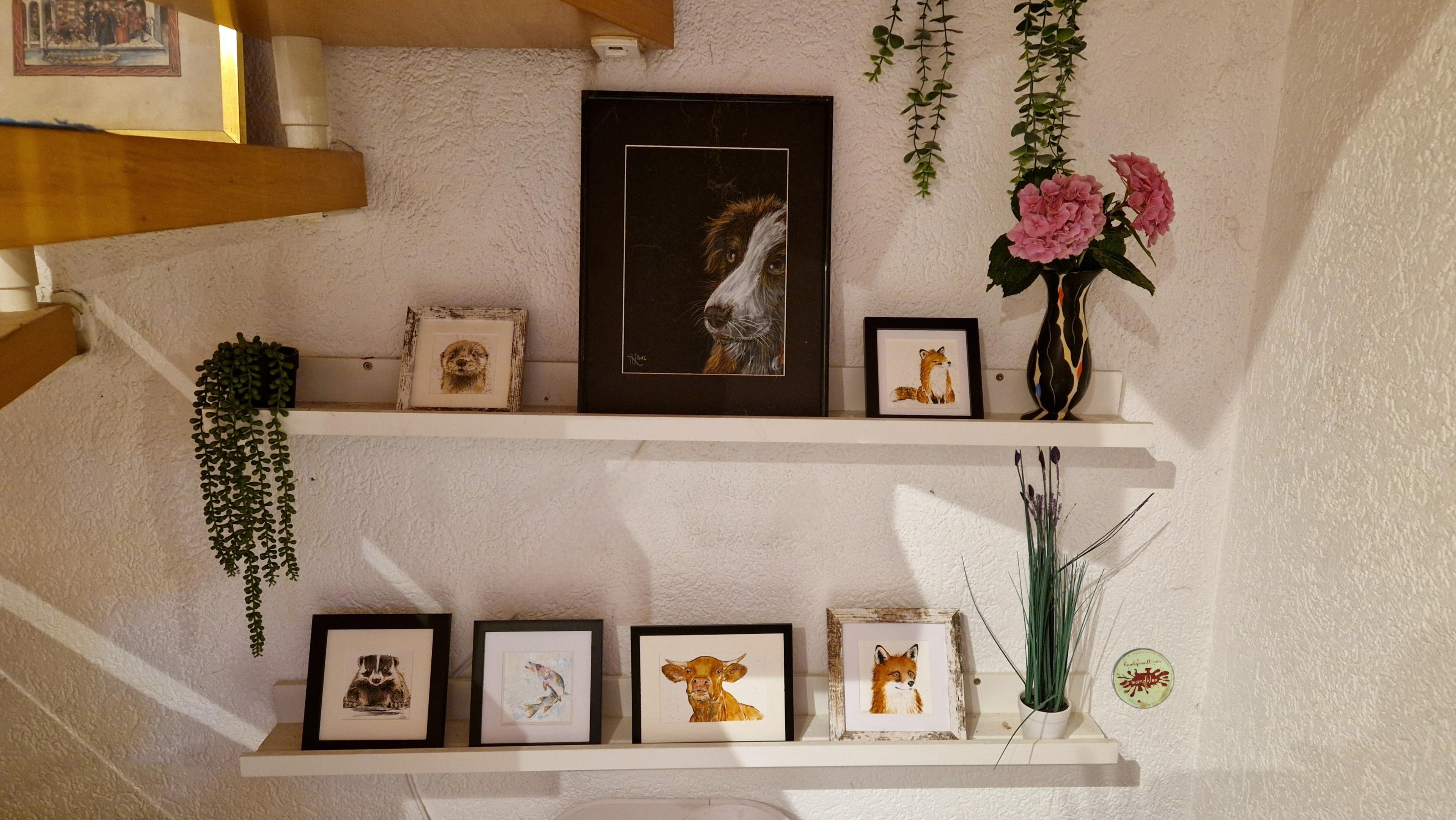 Auf zwei Borden aufgereiht sind 7 handgemalte Bilder, eins davon ein unverkäufliches Portrait meiner Hundedame , sowie kleinere quadratische Bilder mit dem Motiv Dachs, Hecht, 2x Fuchs, Otter und ein mittelgroßes rechteckiges Bild Motiv Kuh