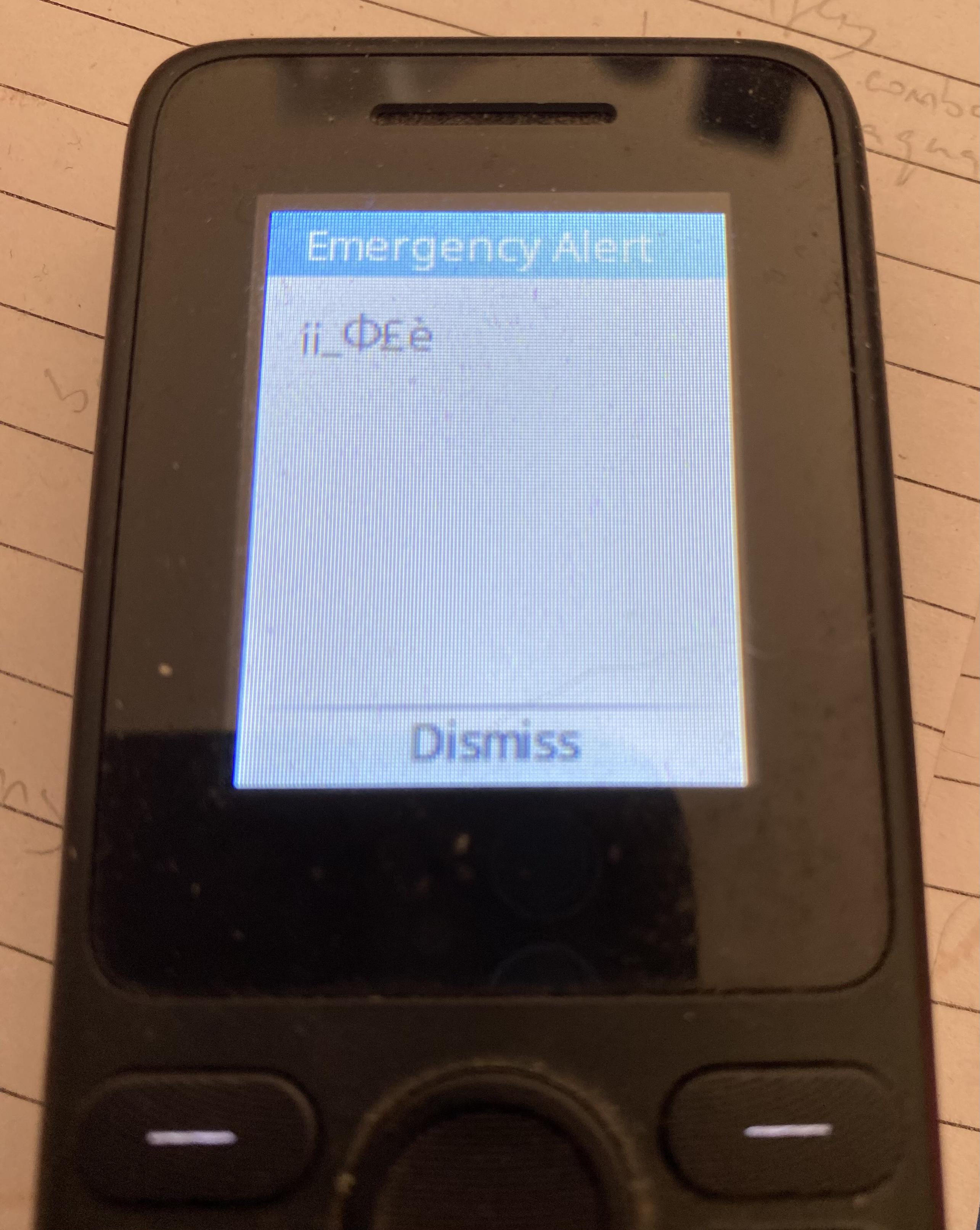 A 'dumb phone' with a screen that says "Emergency Alert" at the top, following by a message body that is just random characters including a pound sign, an underscore and a Greek Phi symbol.