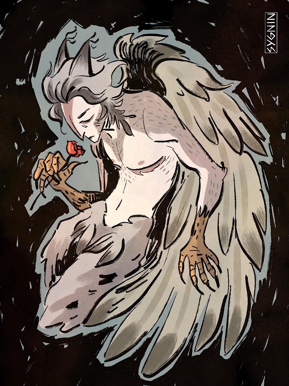 Art of a trans masc harpy . He has pale grey hair and feathers. He holds a red rose in one hand.