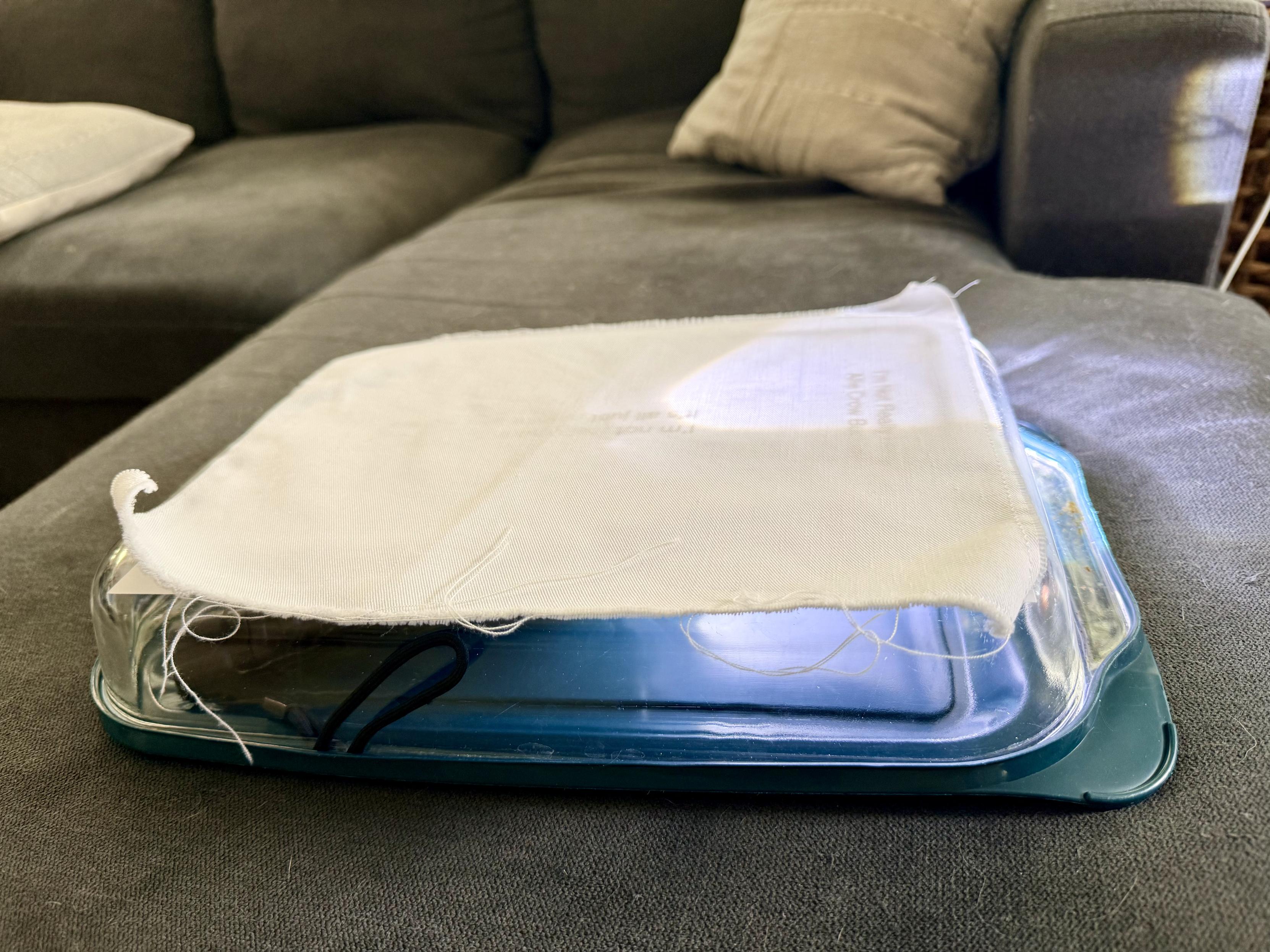 A rectangular Pyrex baking dish (made from clear glass) with a green lid. It's upside down with a paper with writing and a white cloth on it and with an unseen flashlight shining on one corner from within the disb. The dish is resting on Rosie's couch spot (a dark blue couch).