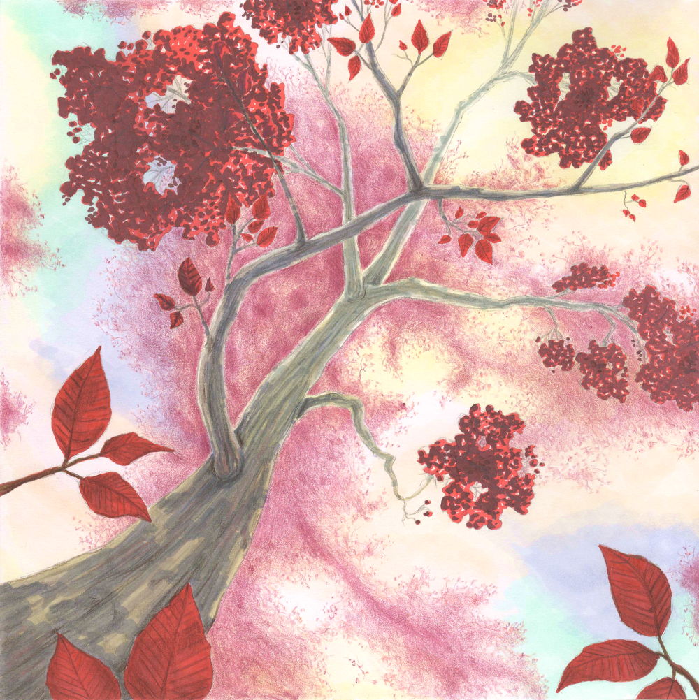 A drawing of a tree on a background of pale, merging pastel colours, in marker. Branches of the tree stretch out and up from the lower left corner, with different clusters of leaves in different levels of detail, for a sense of depth. The foliage is bright red and deep burgundy, while the trunk is a mixture of light and dark greys.