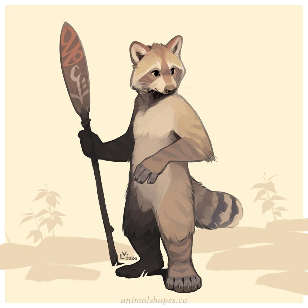 Raccoon! Any gender