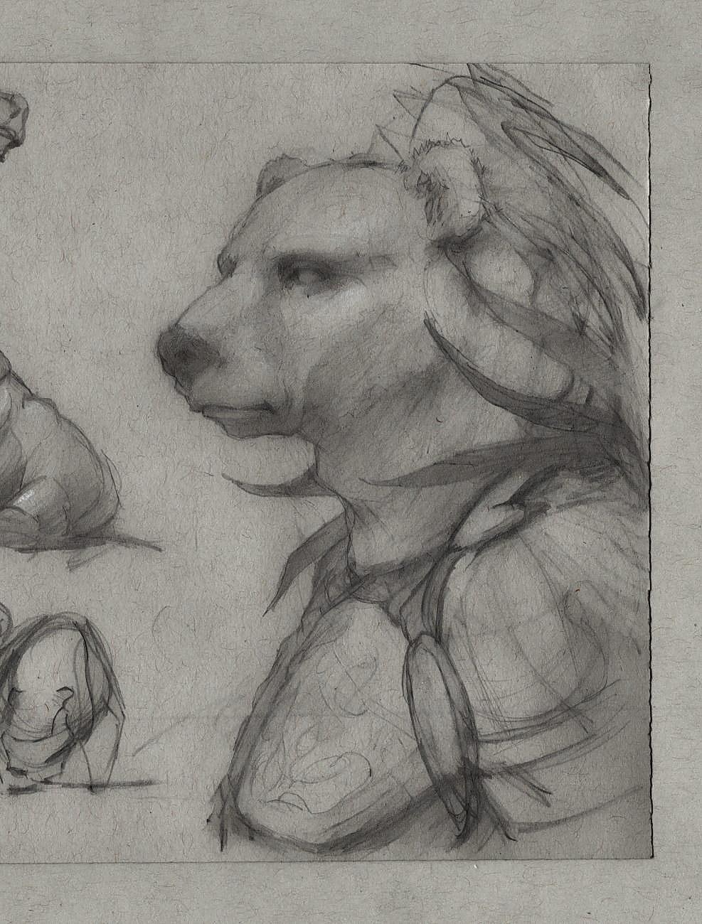 Pencil sketch of a bear warrior portrait. It wears an armor and looking ernest to the left